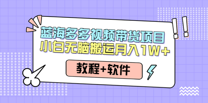 人人都能操作的蓝海多多视频带货项目 小白无脑搬运月入10000+（教程+软件）-观竹阁