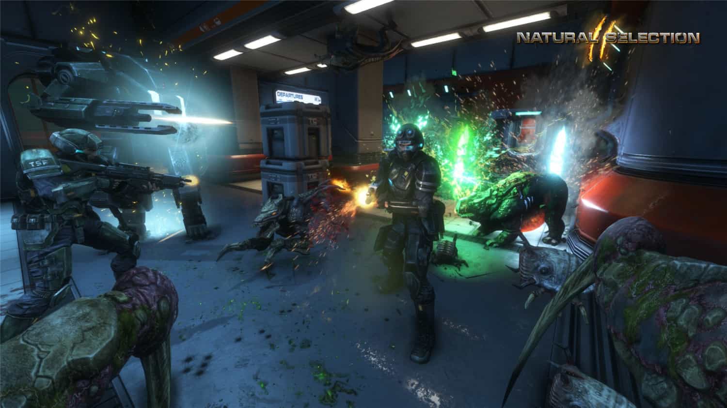 图片[6]-物竞天择2|官方原版英文|支持键盘.鼠标-忙忙软件库