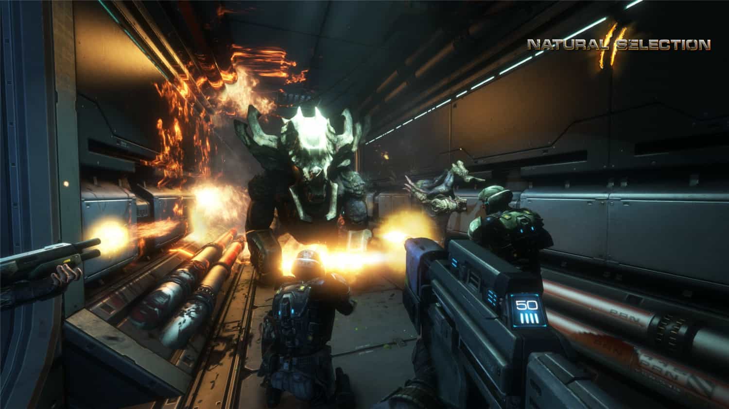 图片[5]-物竞天择2|官方原版英文|支持键盘.鼠标-忙忙软件库