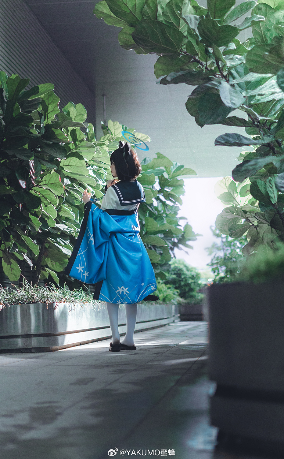 图片[5]-虽然看起来十分冷酷，但实际上是很温柔的一位学生-忙忙软件库