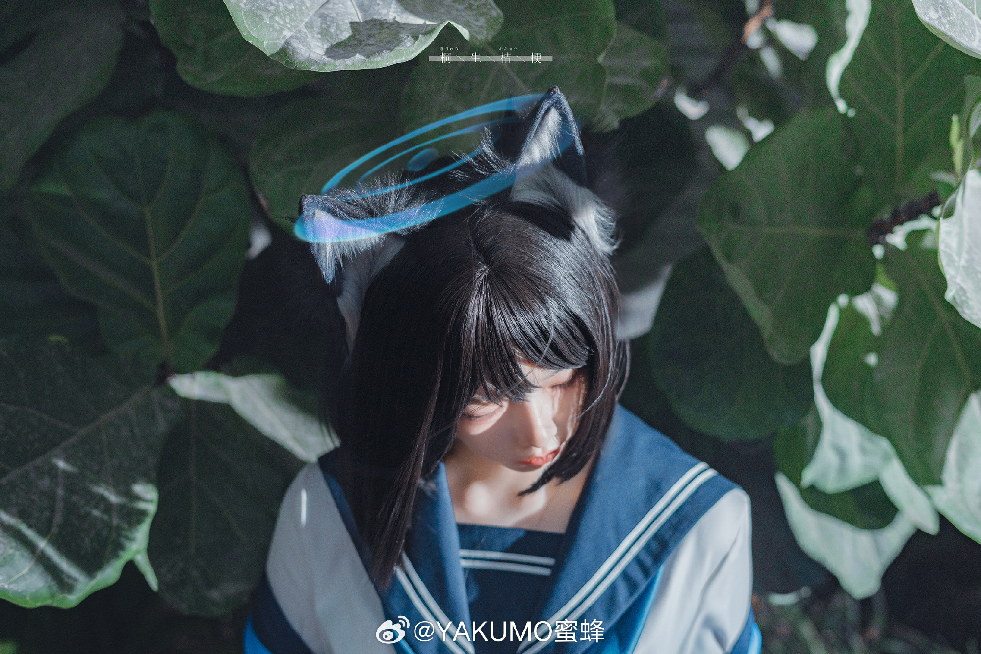 图片[6]-虽然看起来十分冷酷，但实际上是很温柔的一位学生-忙忙软件库