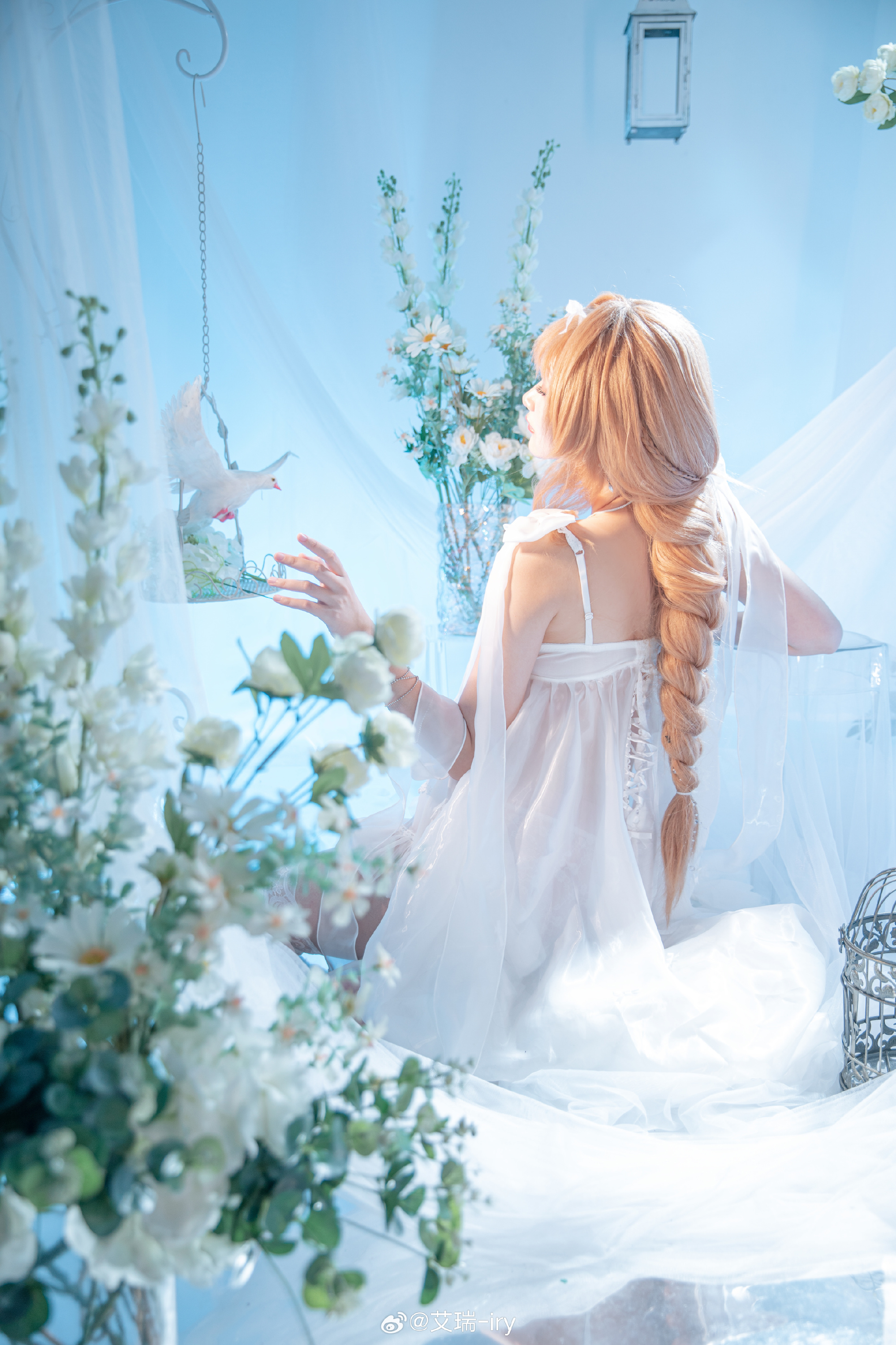 图片[5]-渴望触碰天空的金丝雀，被困于名为“家族”的华丽牢笼中?️-忙忙软件库