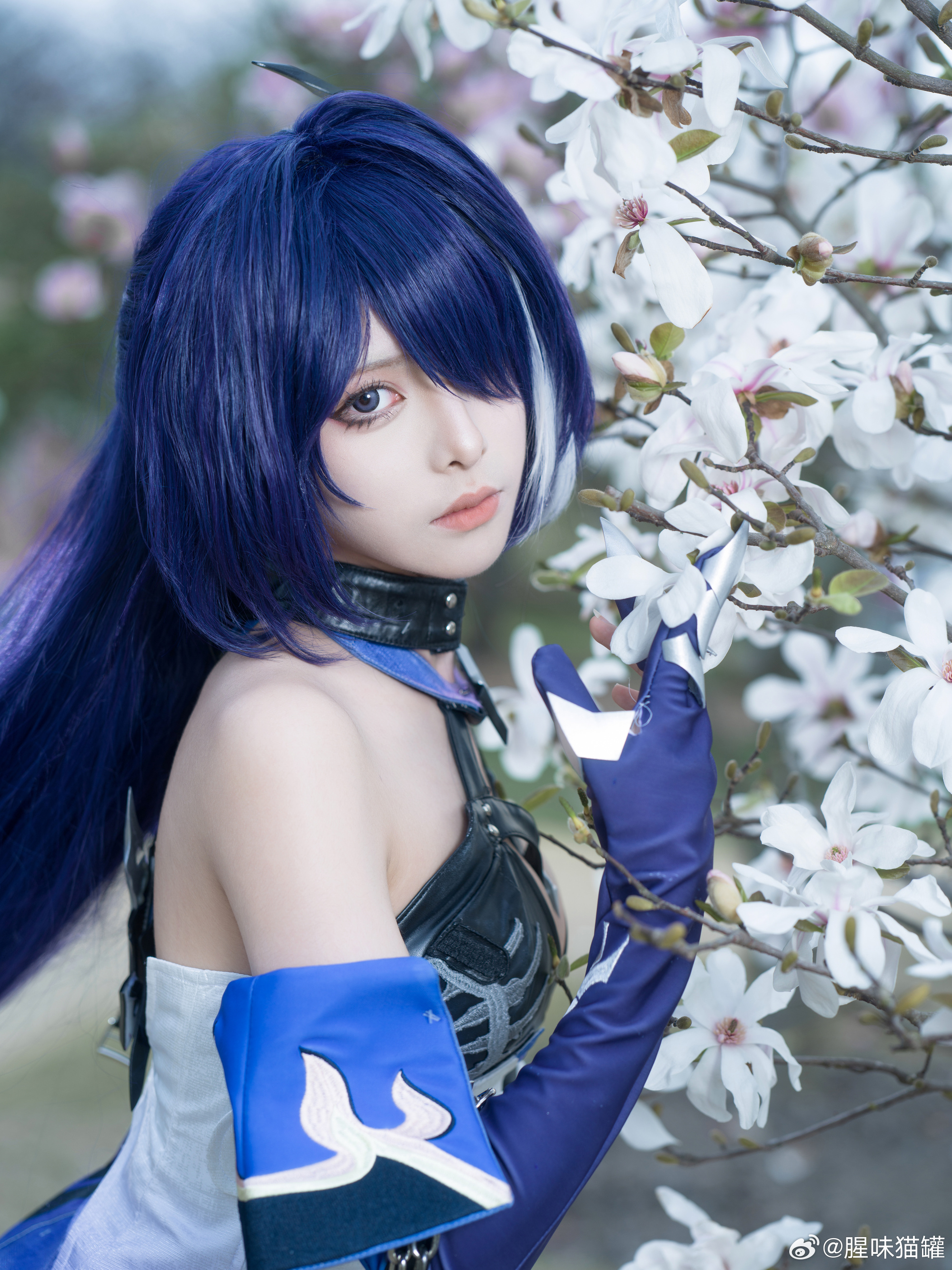 图片[15]-与其费尽周折绕过去，不如勇敢的地攀越-忙忙软件库