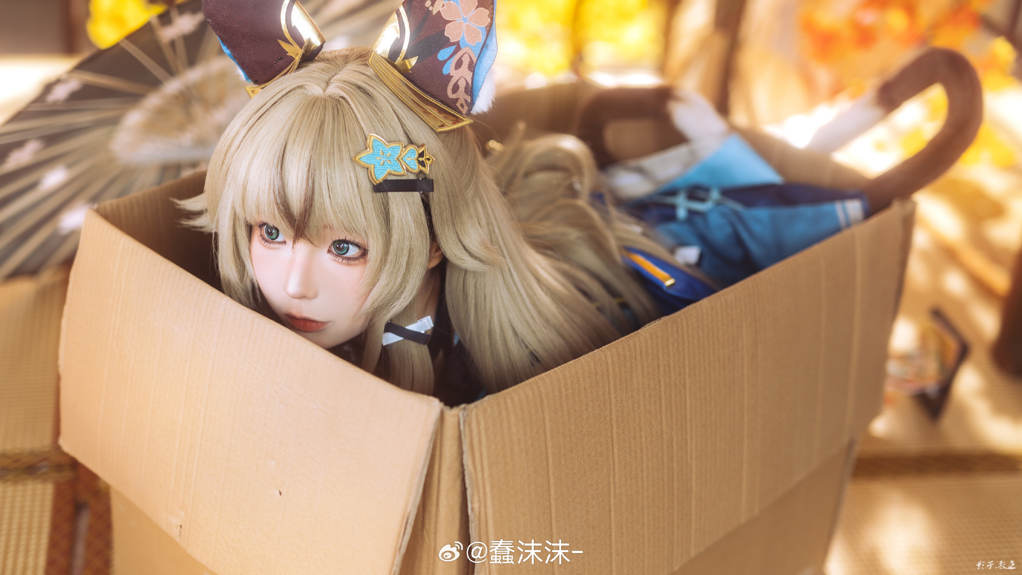 图片[10]-海风吹不散玫瑰，月色难逃皎皎-忙忙软件库