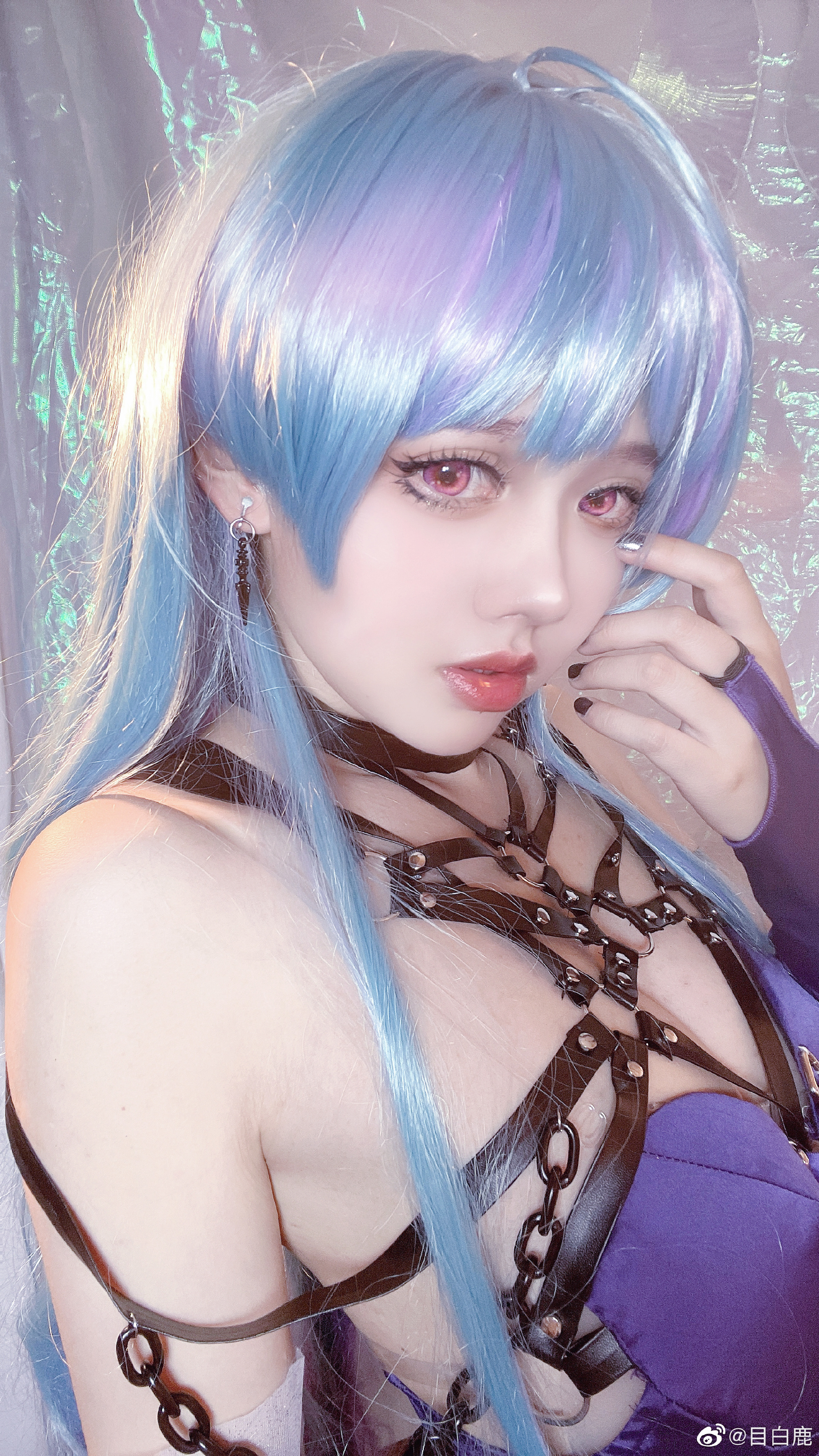 图片[6]-巷子里的猫很自由，却没有归宿-忙忙软件库