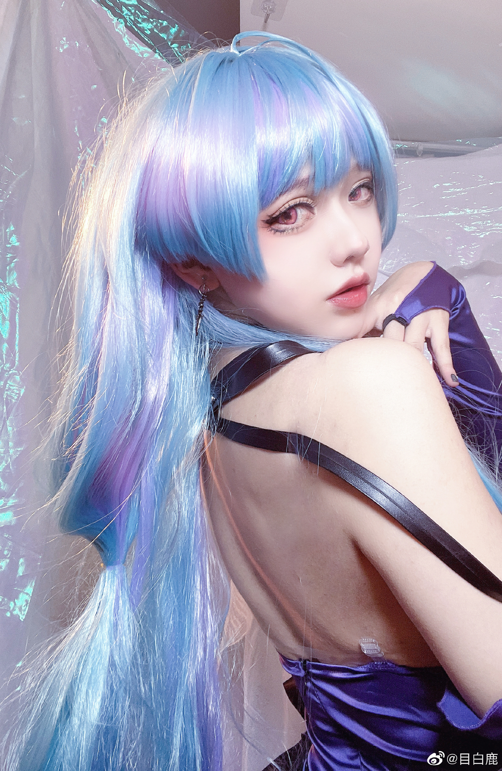 图片[8]-巷子里的猫很自由，却没有归宿-忙忙软件库