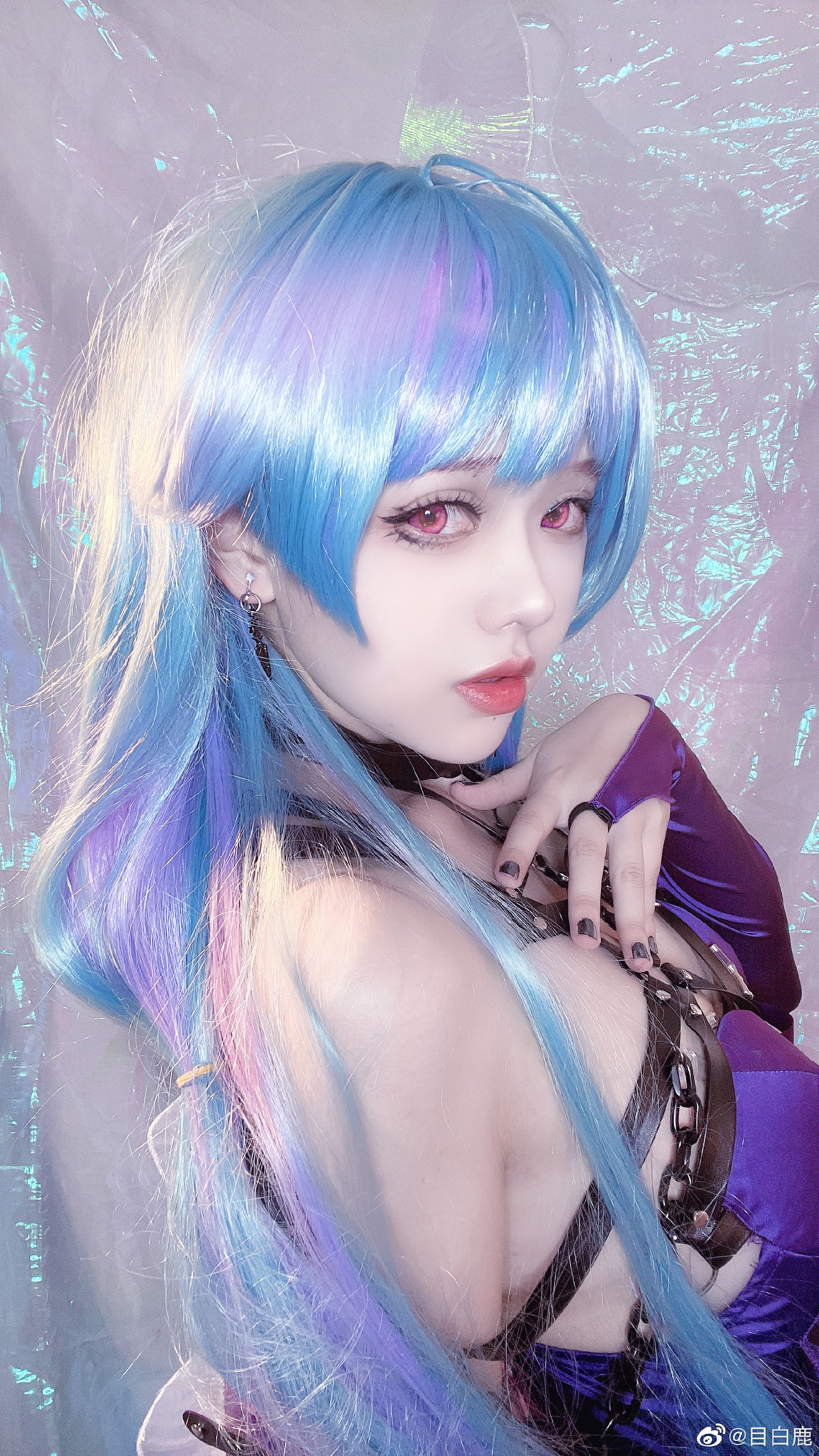 图片[5]-巷子里的猫很自由，却没有归宿-忙忙软件库