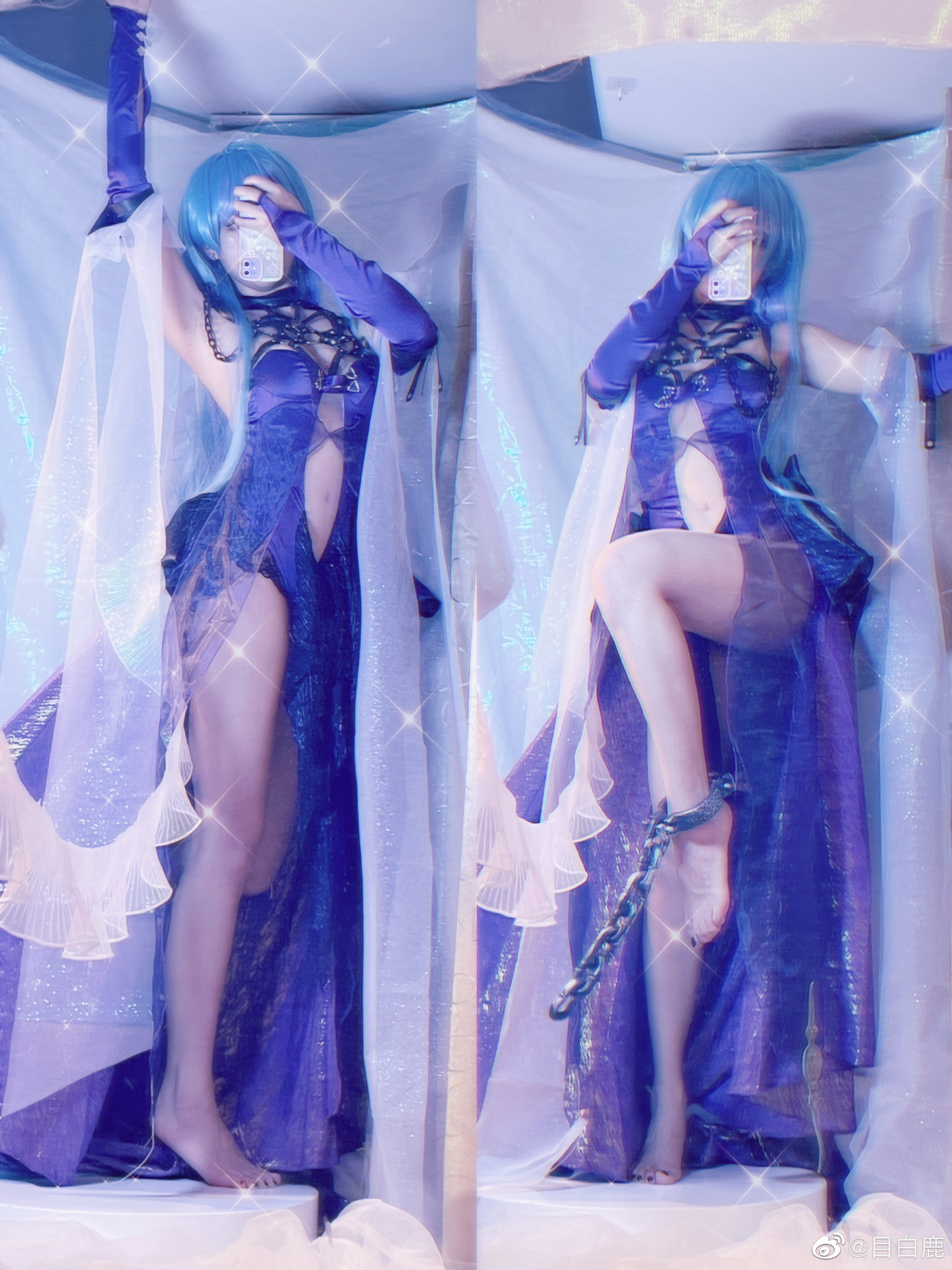 图片[10]-巷子里的猫很自由，却没有归宿-忙忙软件库