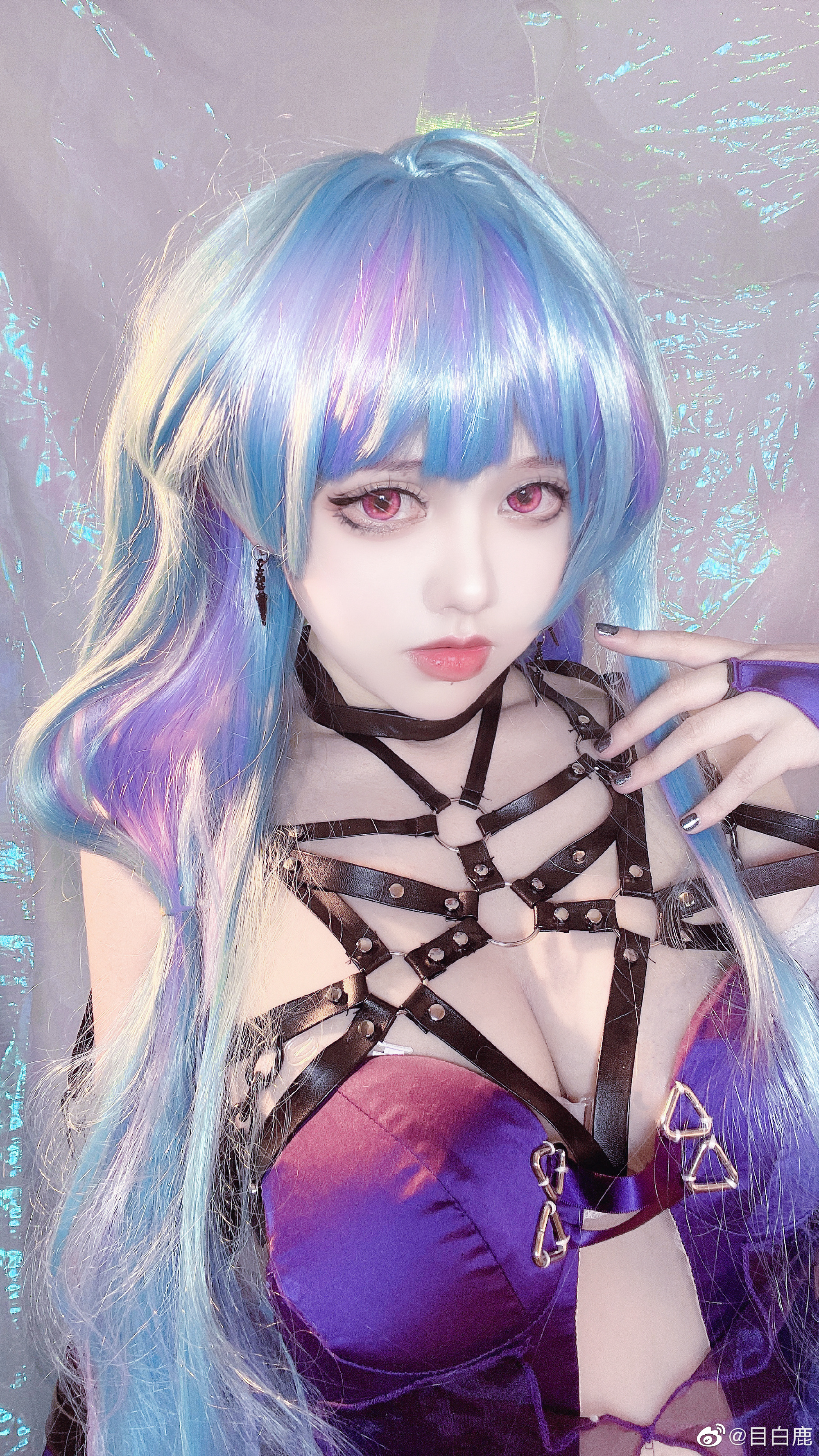 图片[2]-巷子里的猫很自由，却没有归宿-忙忙软件库