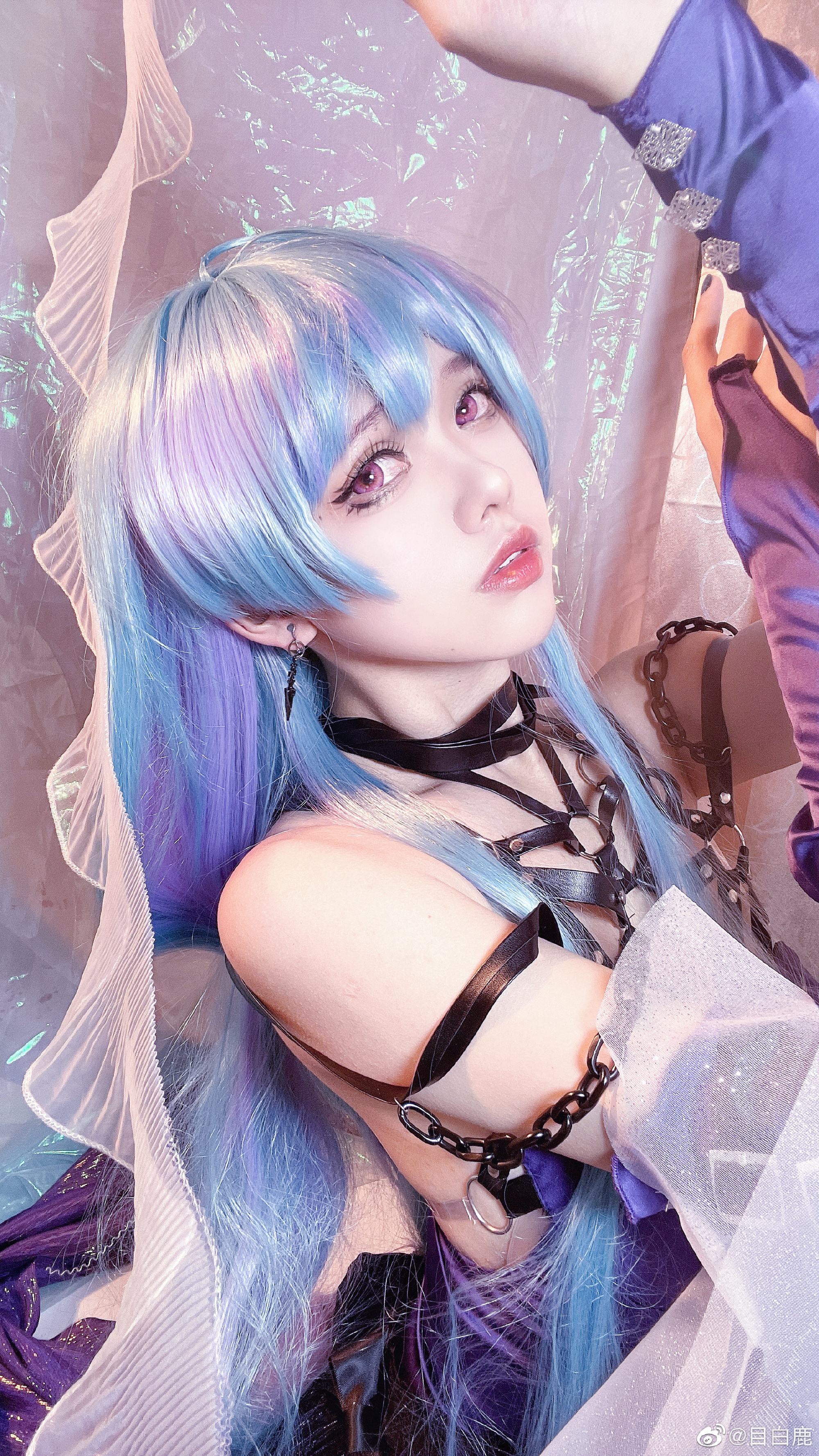 图片[9]-巷子里的猫很自由，却没有归宿-忙忙软件库