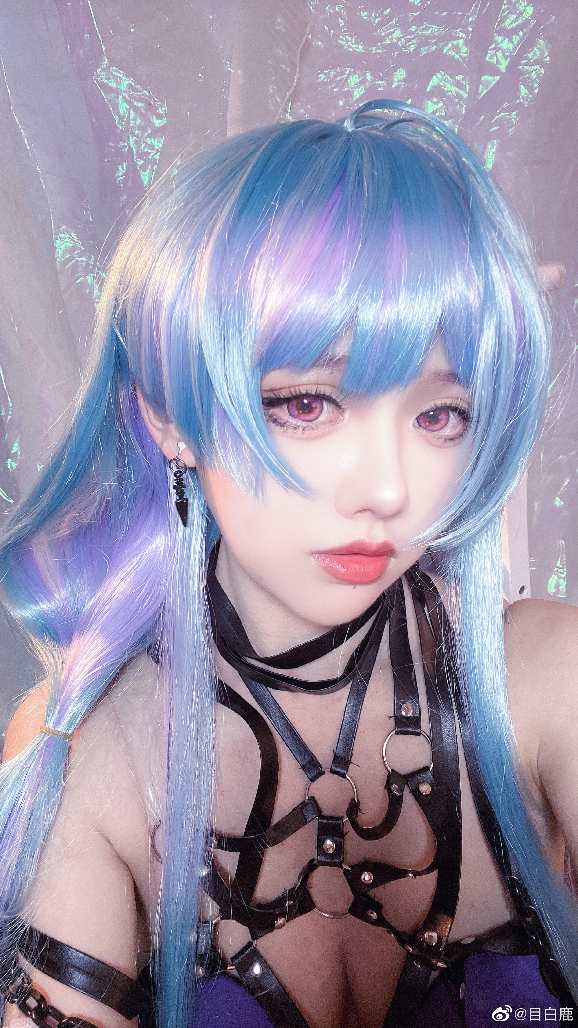 图片[1]-巷子里的猫很自由，却没有归宿-忙忙软件库