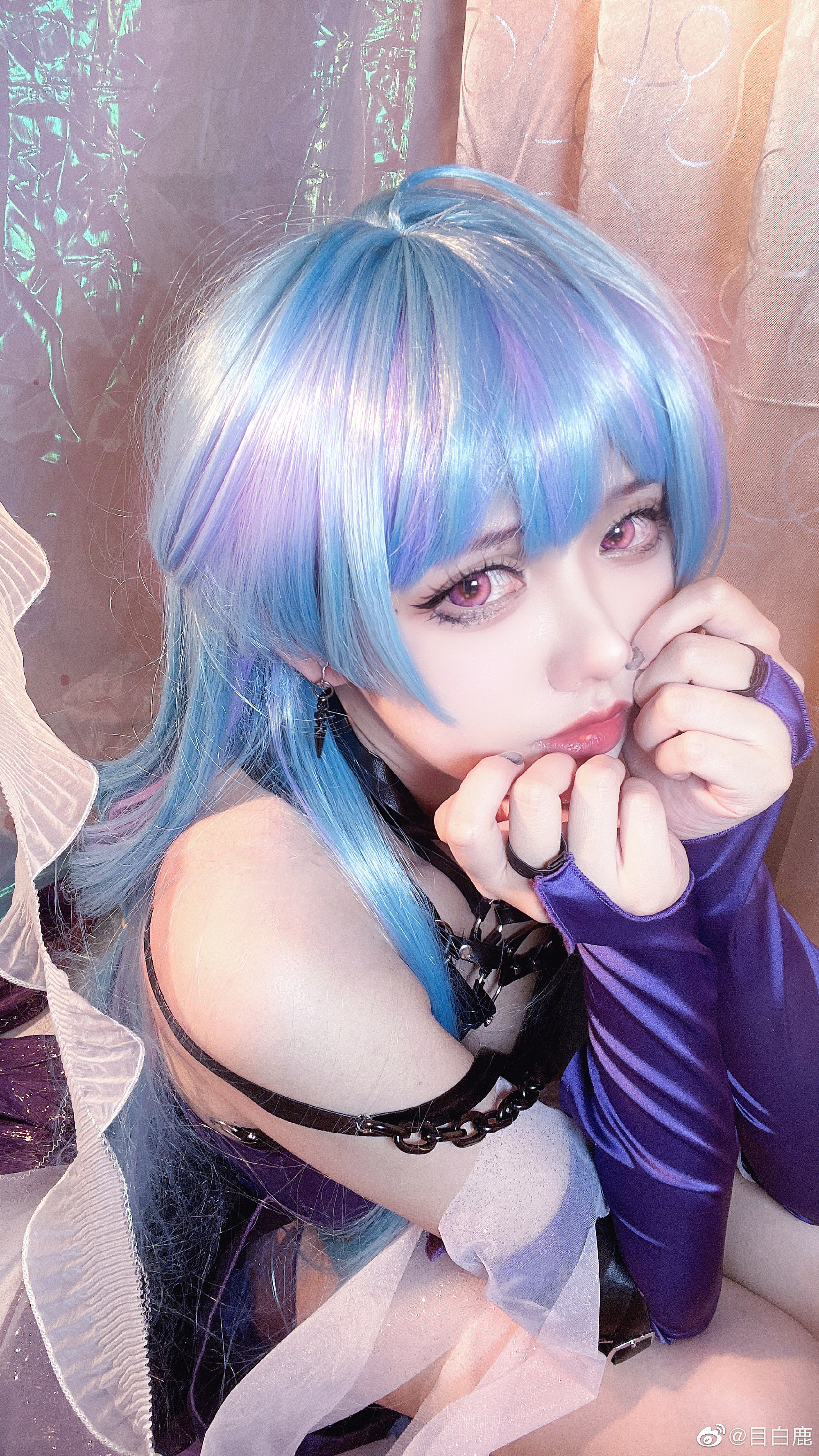 图片[7]-巷子里的猫很自由，却没有归宿-忙忙软件库