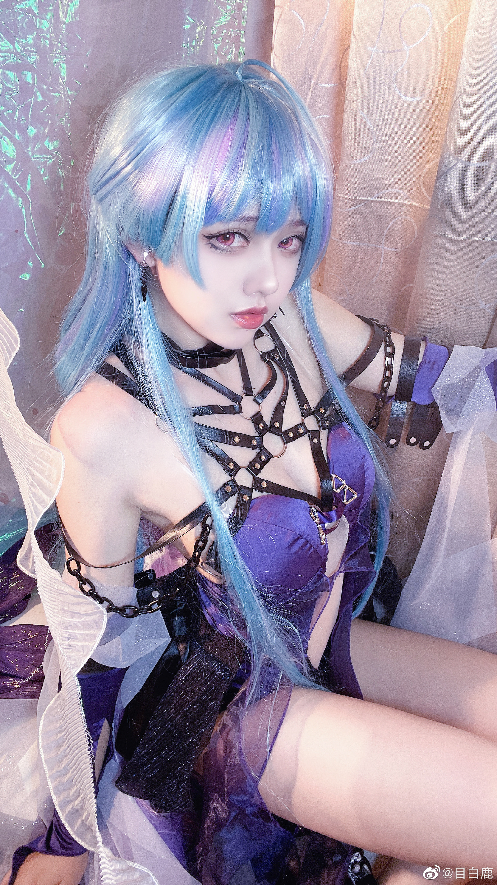 图片[3]-巷子里的猫很自由，却没有归宿-忙忙软件库