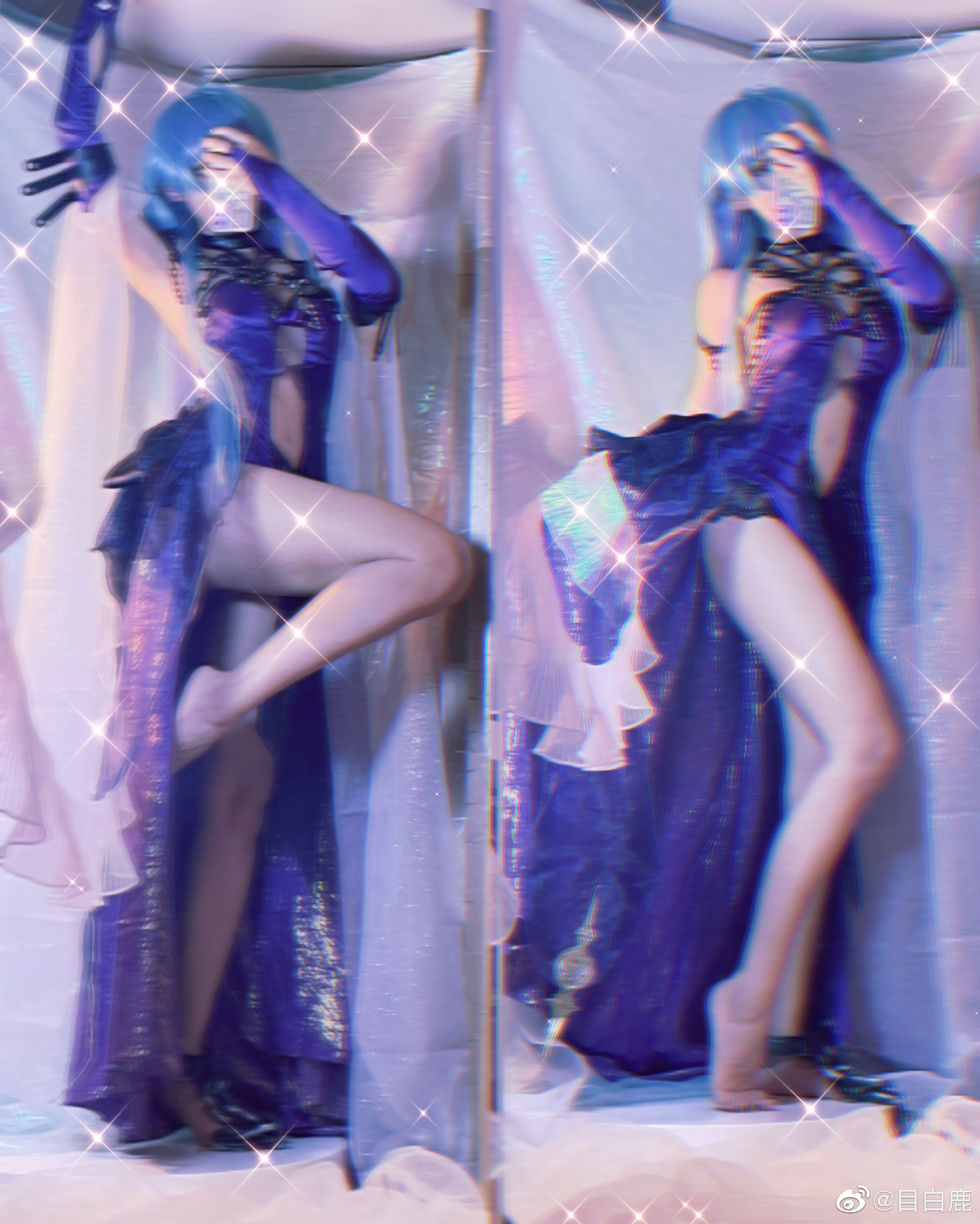 图片[12]-巷子里的猫很自由，却没有归宿-忙忙软件库