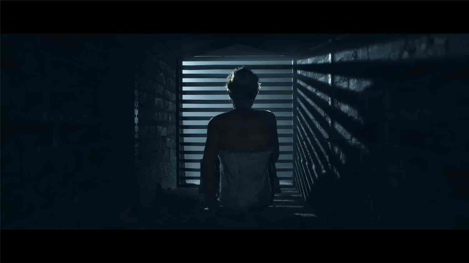 图片[1]-直到黎明/Until Dawn|官方简体中文|支持键盘.鼠标.手柄-忙忙软件库