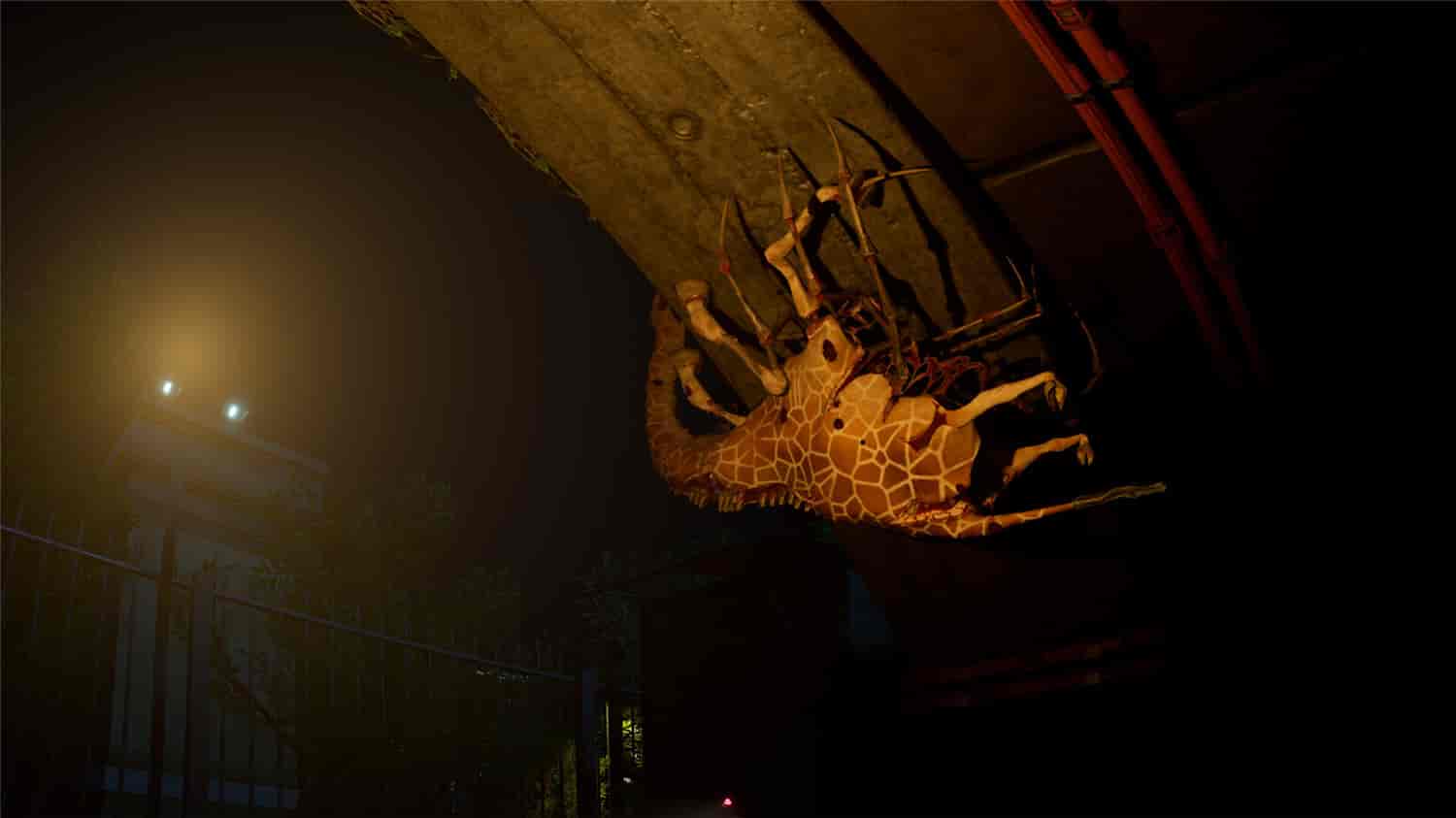 图片[2]-癫狂动物园/Zoochosis-忙忙软件库