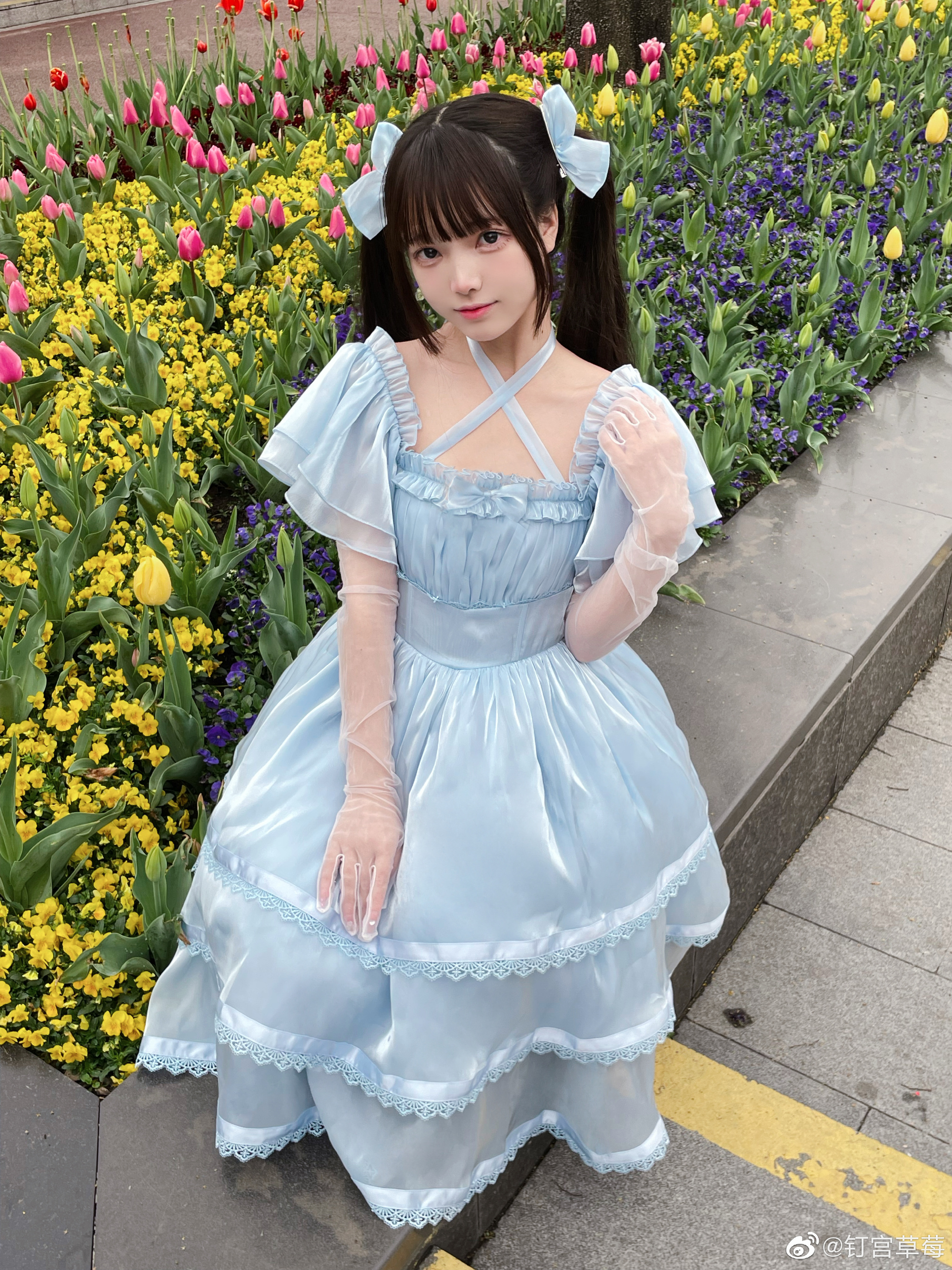 图片[9]-花可以自己去买，海也可以自己去看-忙忙软件库