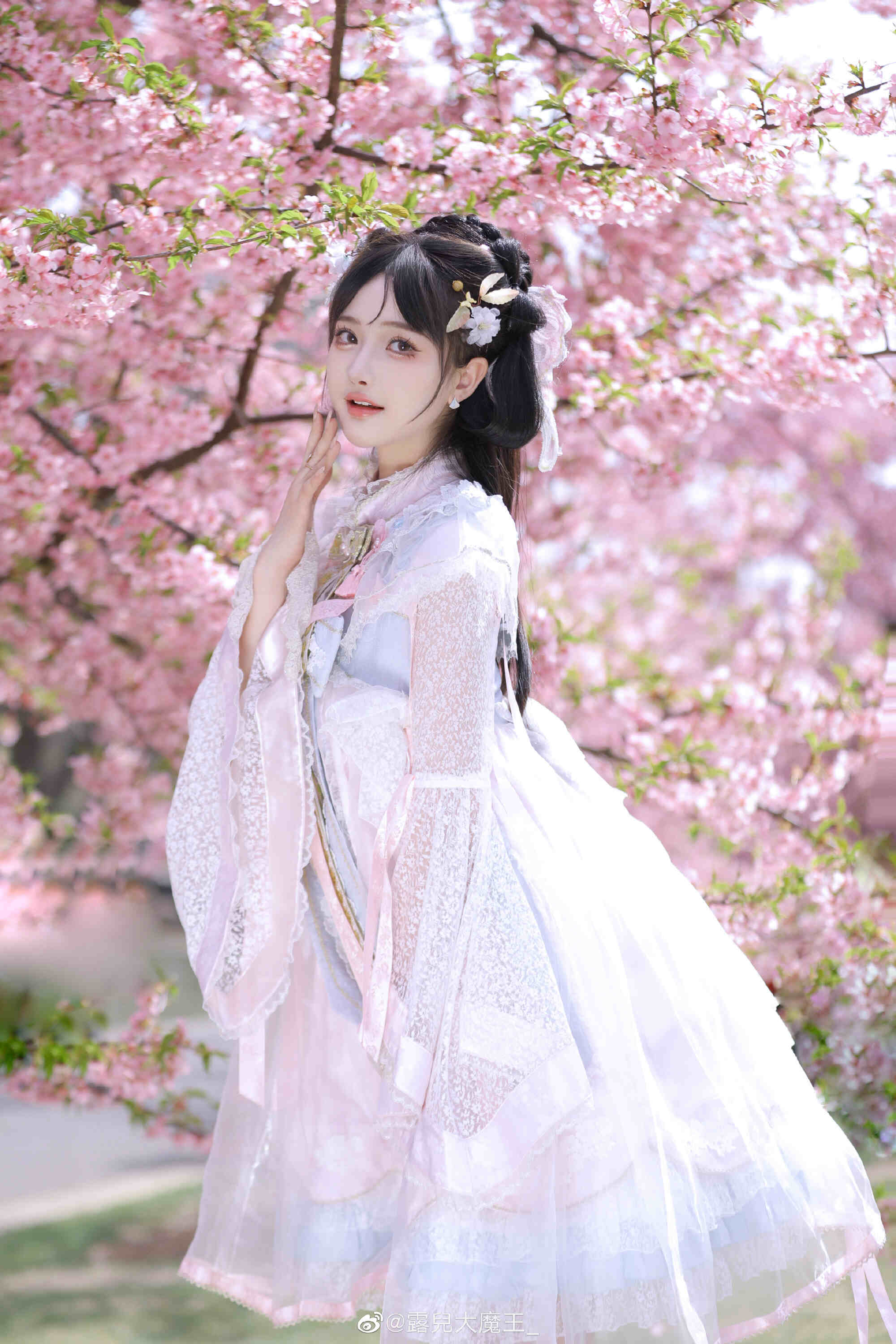 图片[4]-我们不是春日限定，我们是来日方长-忙忙软件库