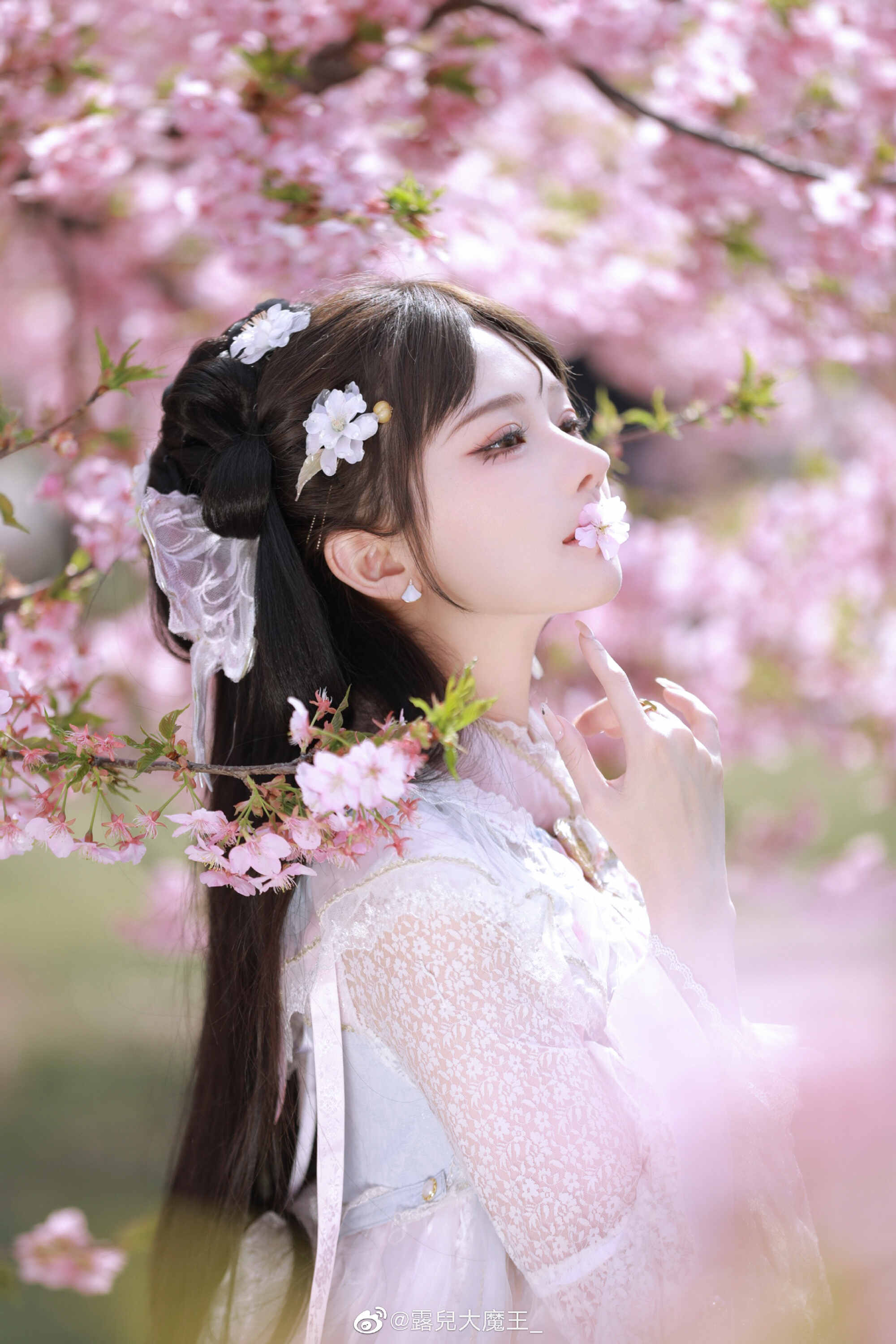 图片[5]-我们不是春日限定，我们是来日方长-忙忙软件库