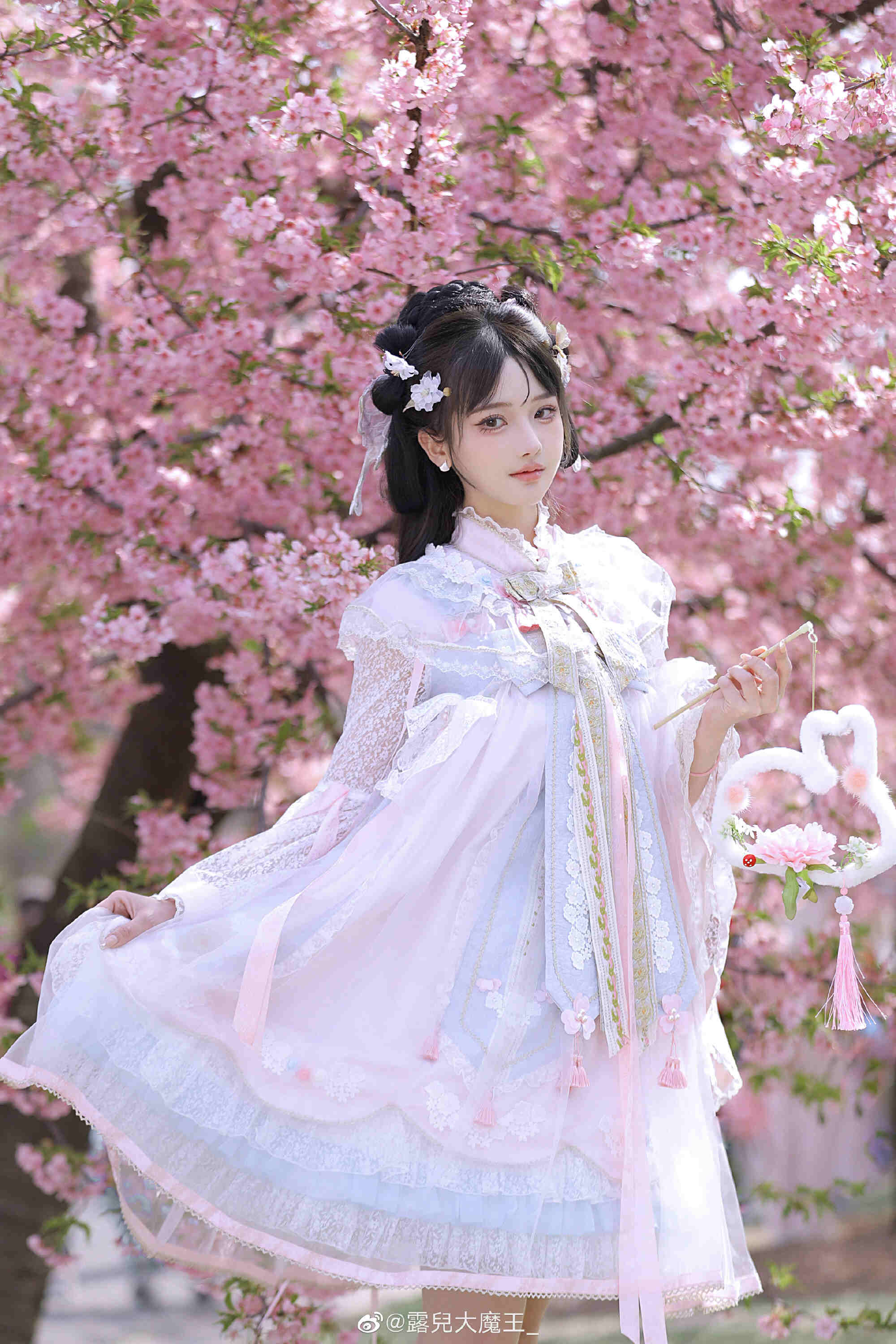 图片[2]-我们不是春日限定，我们是来日方长-忙忙软件库