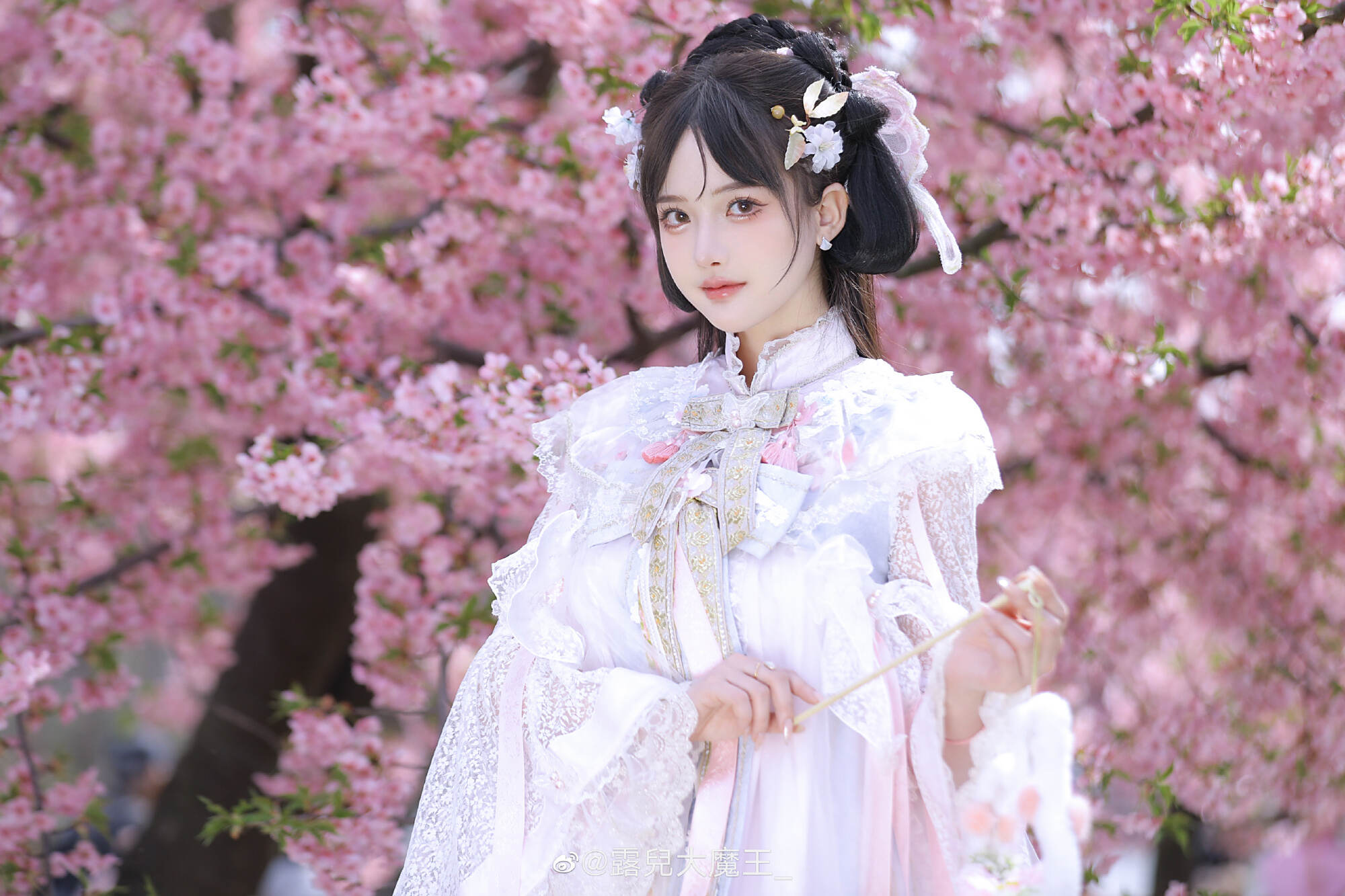 图片[3]-我们不是春日限定，我们是来日方长-忙忙软件库