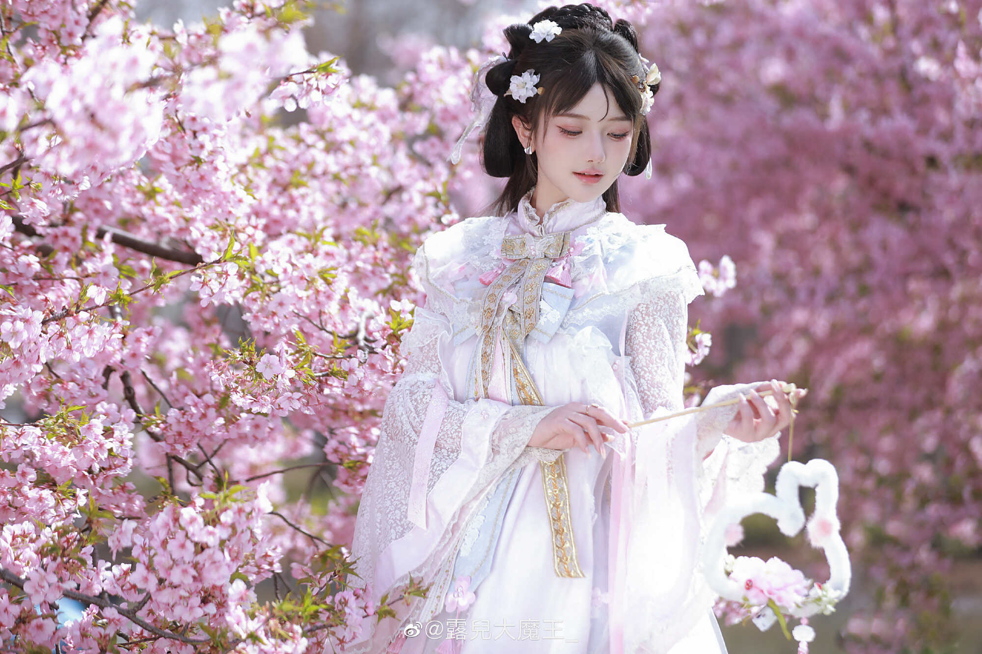 图片[1]-我们不是春日限定，我们是来日方长-忙忙软件库