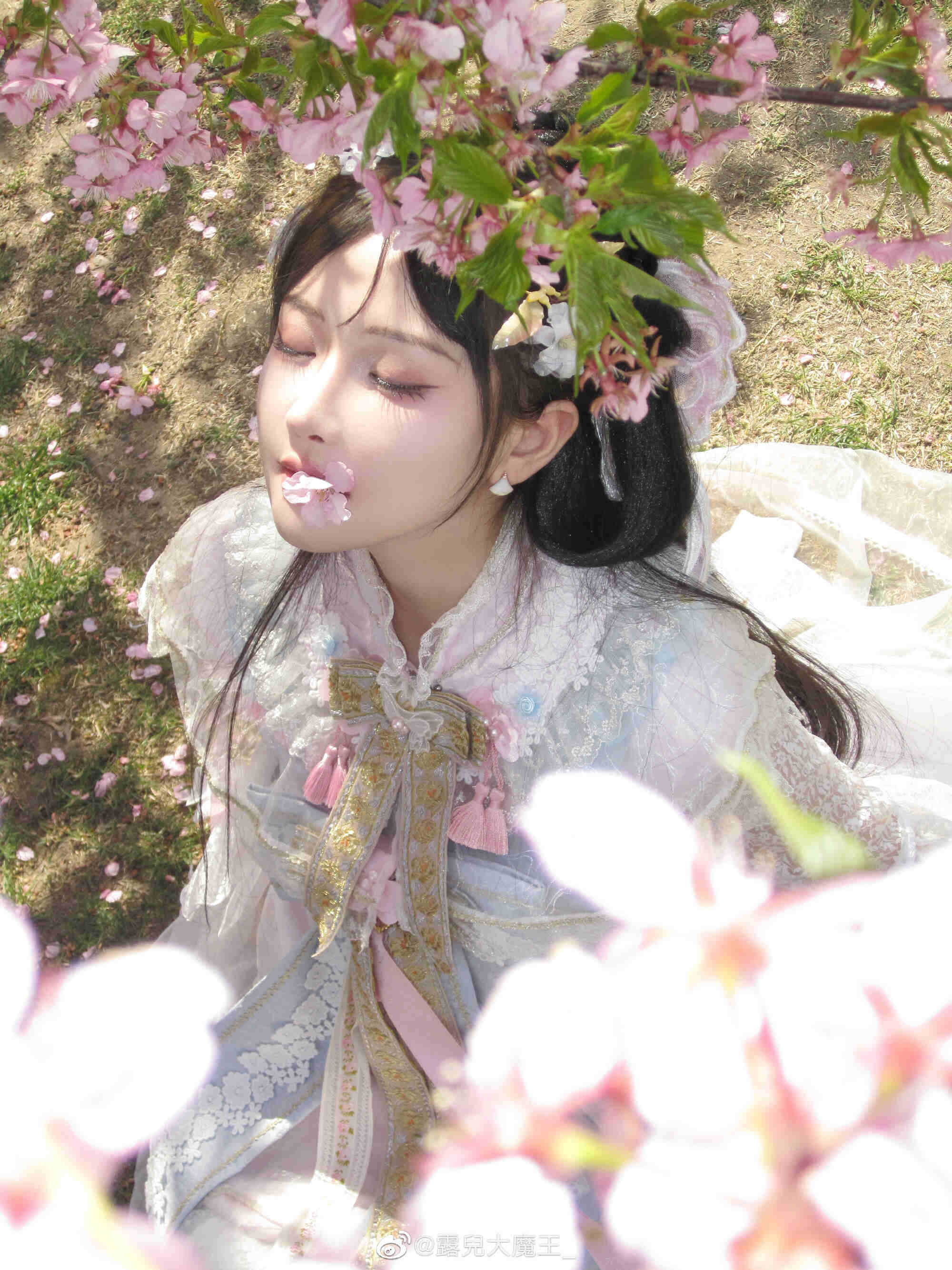 图片[9]-我们不是春日限定，我们是来日方长-忙忙软件库