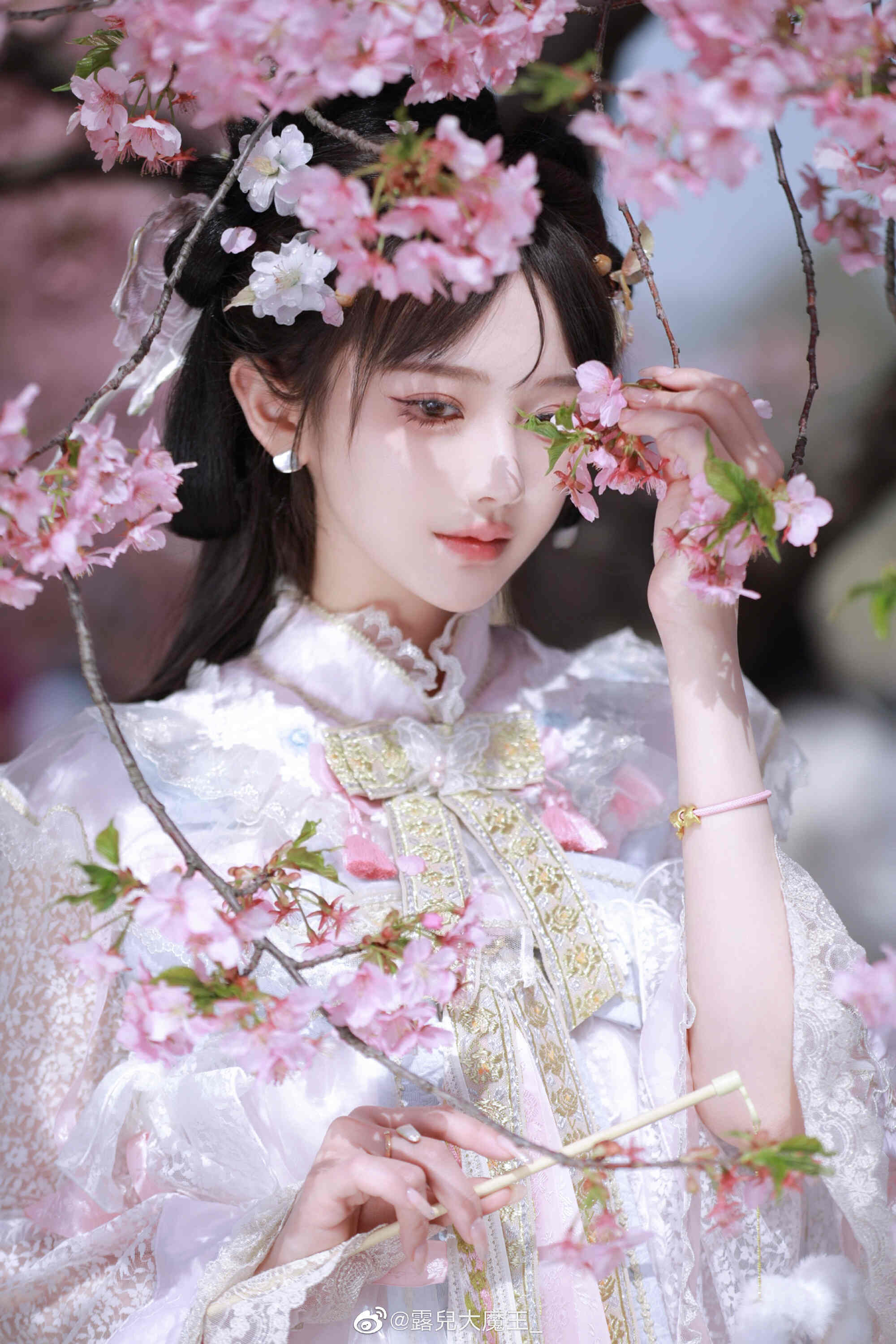 图片[6]-我们不是春日限定，我们是来日方长-忙忙软件库