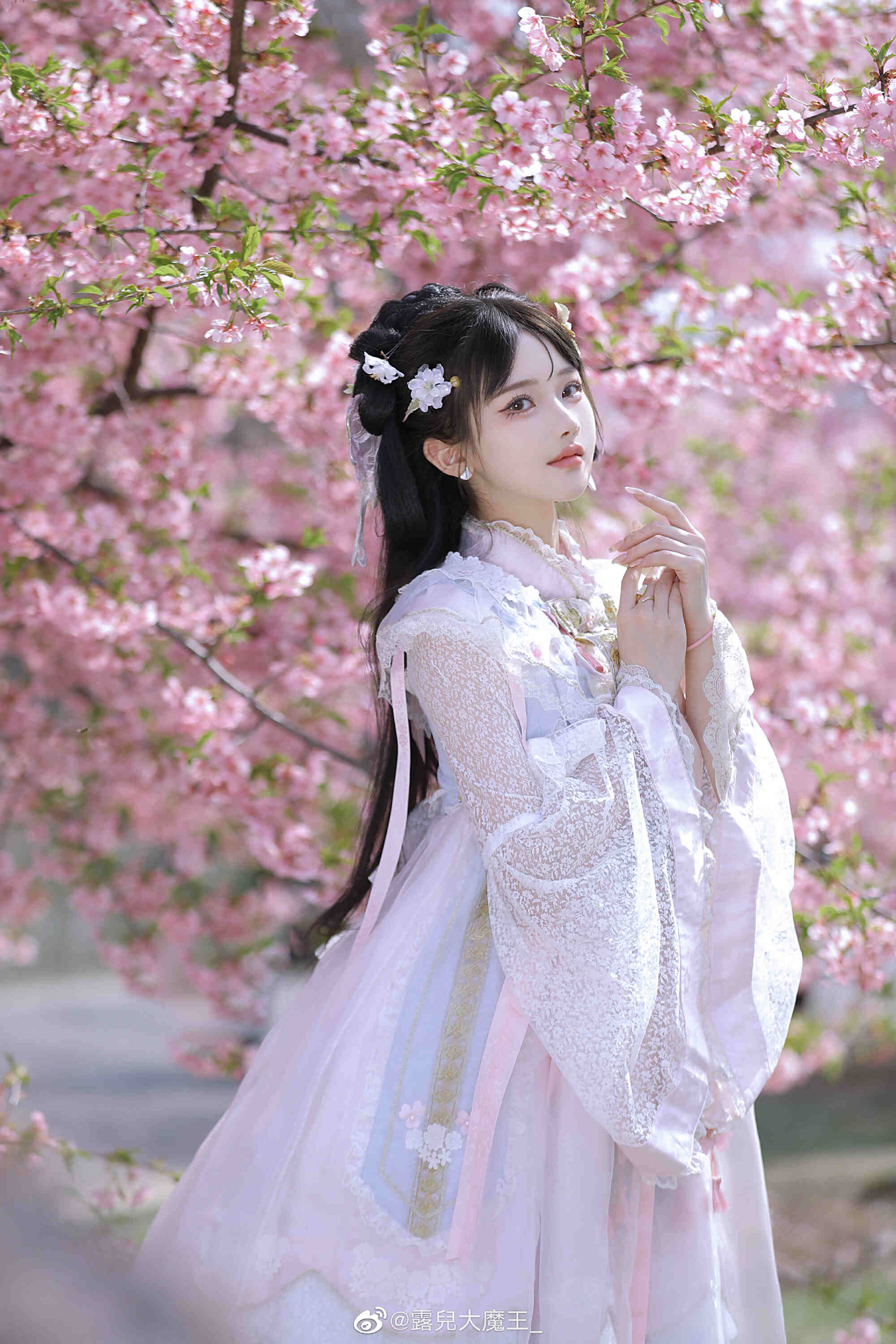 图片[7]-我们不是春日限定，我们是来日方长-忙忙软件库