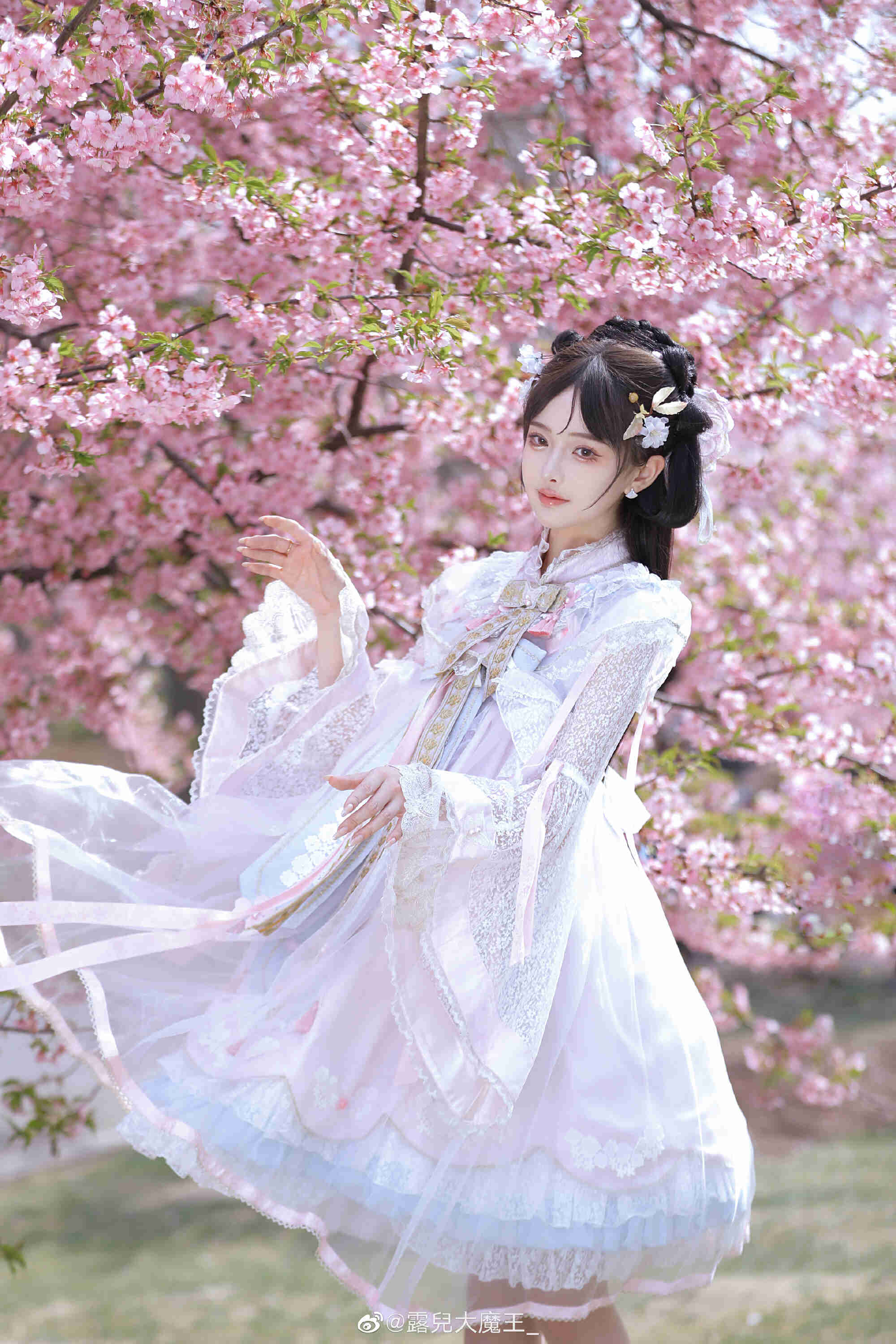 图片[8]-我们不是春日限定，我们是来日方长-忙忙软件库