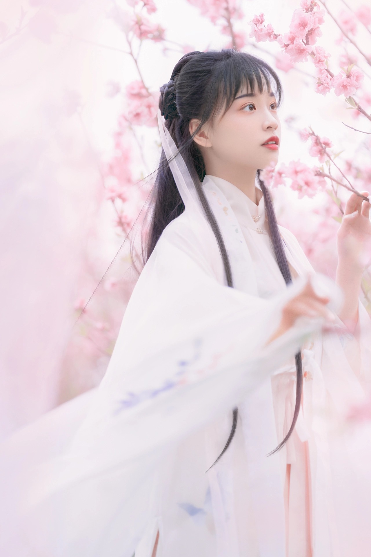 图片[2]-桃红复含宿雨，柳绿更带朝烟。-忙忙软件库