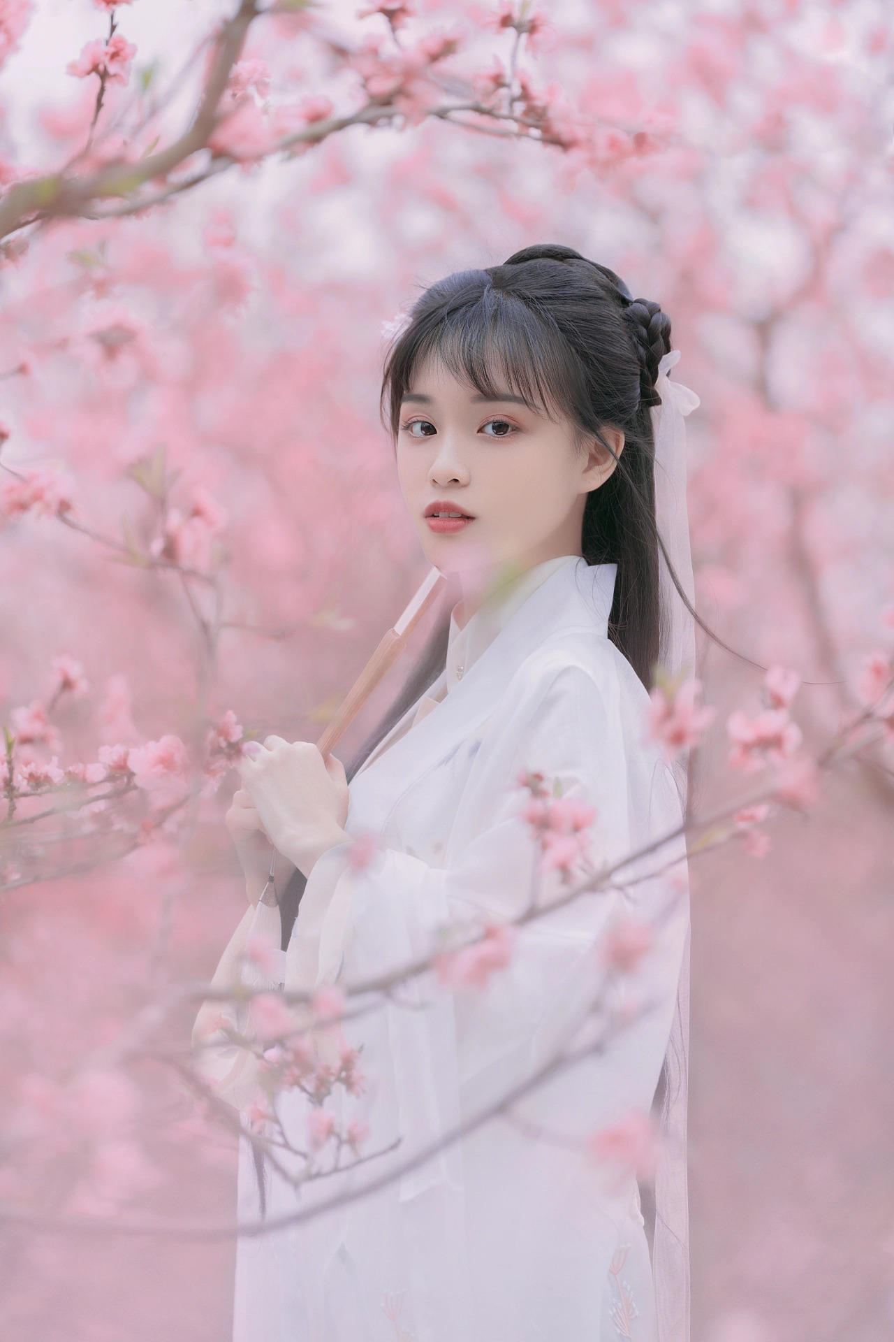 图片[3]-桃红复含宿雨，柳绿更带朝烟。-忙忙软件库