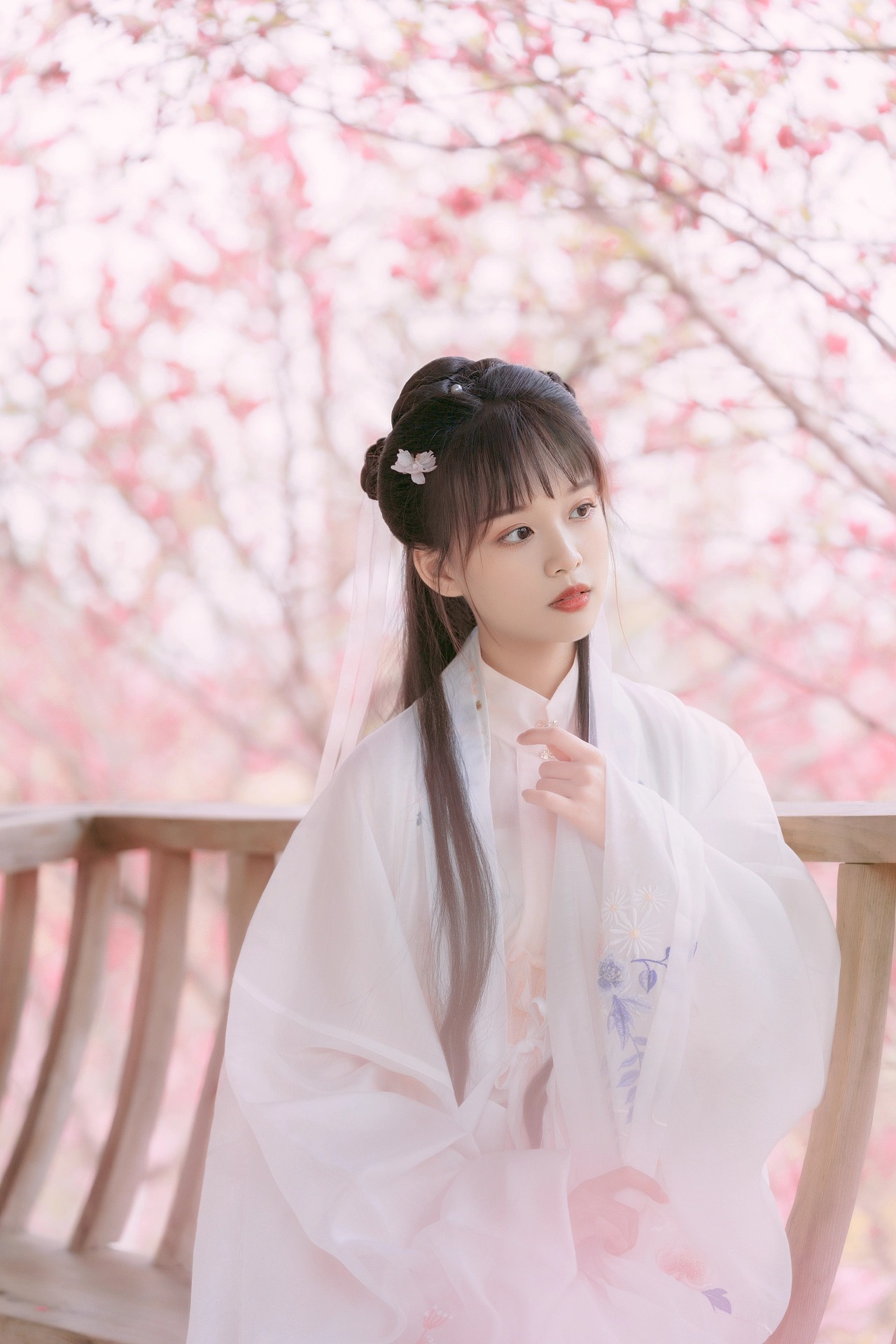 图片[1]-桃红复含宿雨，柳绿更带朝烟。-忙忙软件库