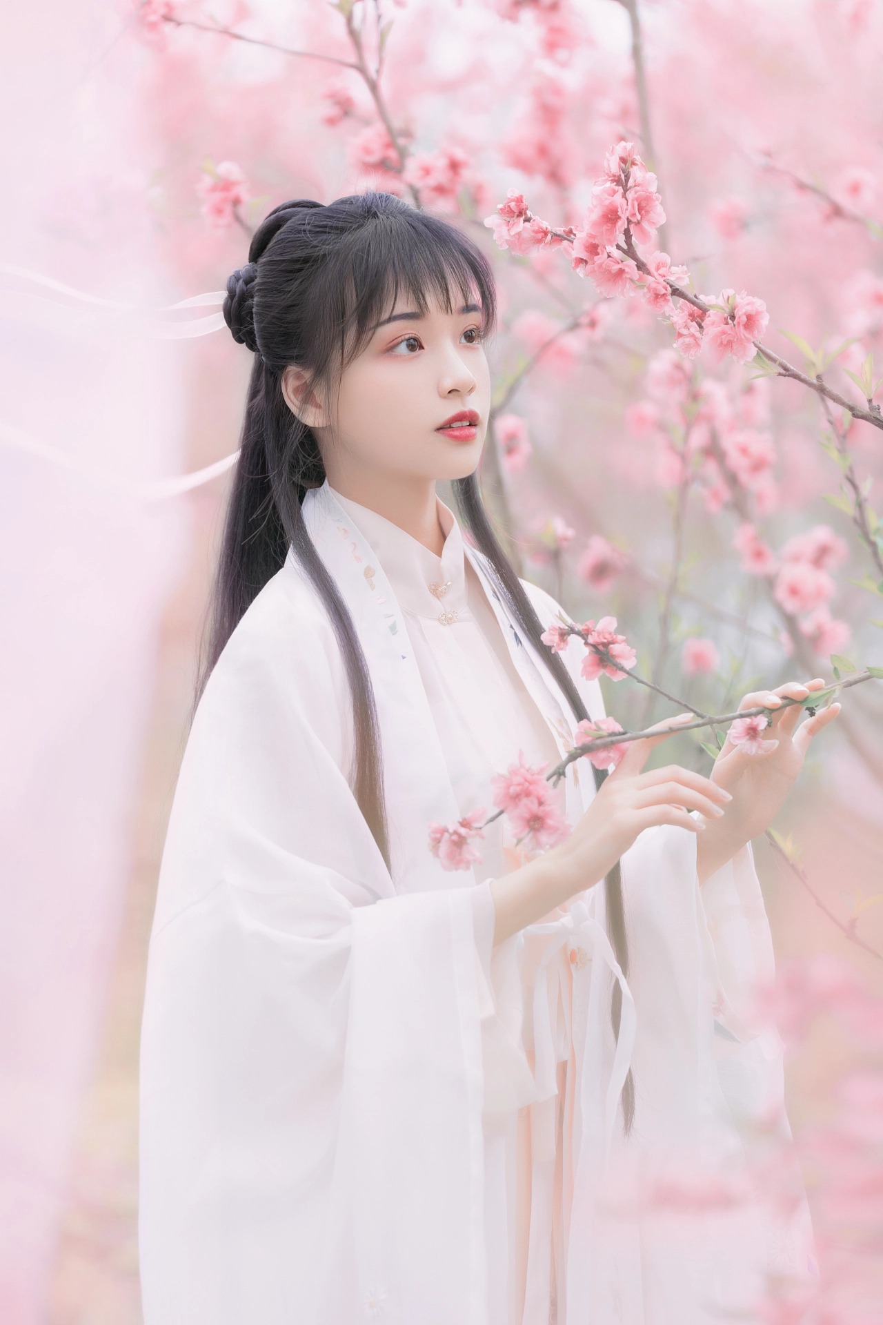 图片[14]-桃红复含宿雨，柳绿更带朝烟。-忙忙软件库