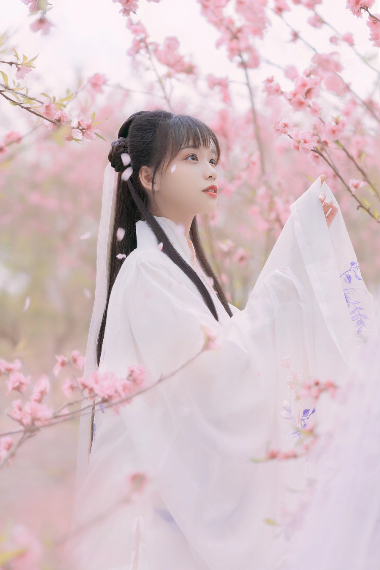 图片[13]-桃红复含宿雨，柳绿更带朝烟。-忙忙软件库