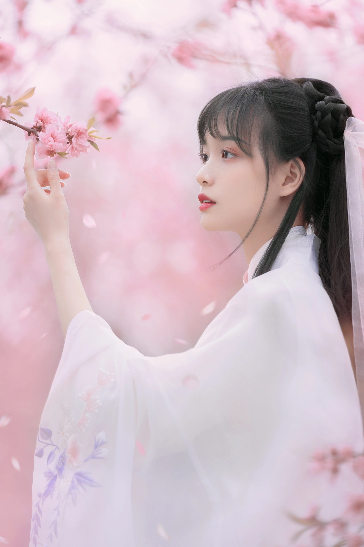 图片[15]-桃红复含宿雨，柳绿更带朝烟。-忙忙软件库