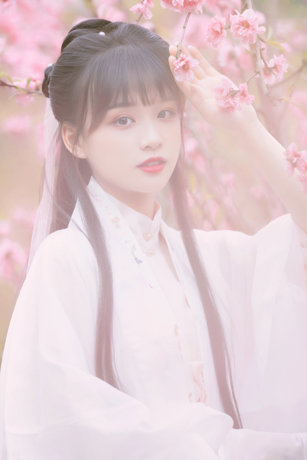 图片[16]-桃红复含宿雨，柳绿更带朝烟。-忙忙软件库