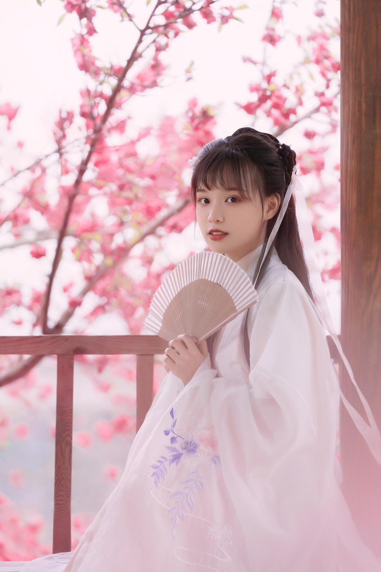 图片[19]-桃红复含宿雨，柳绿更带朝烟。-忙忙软件库