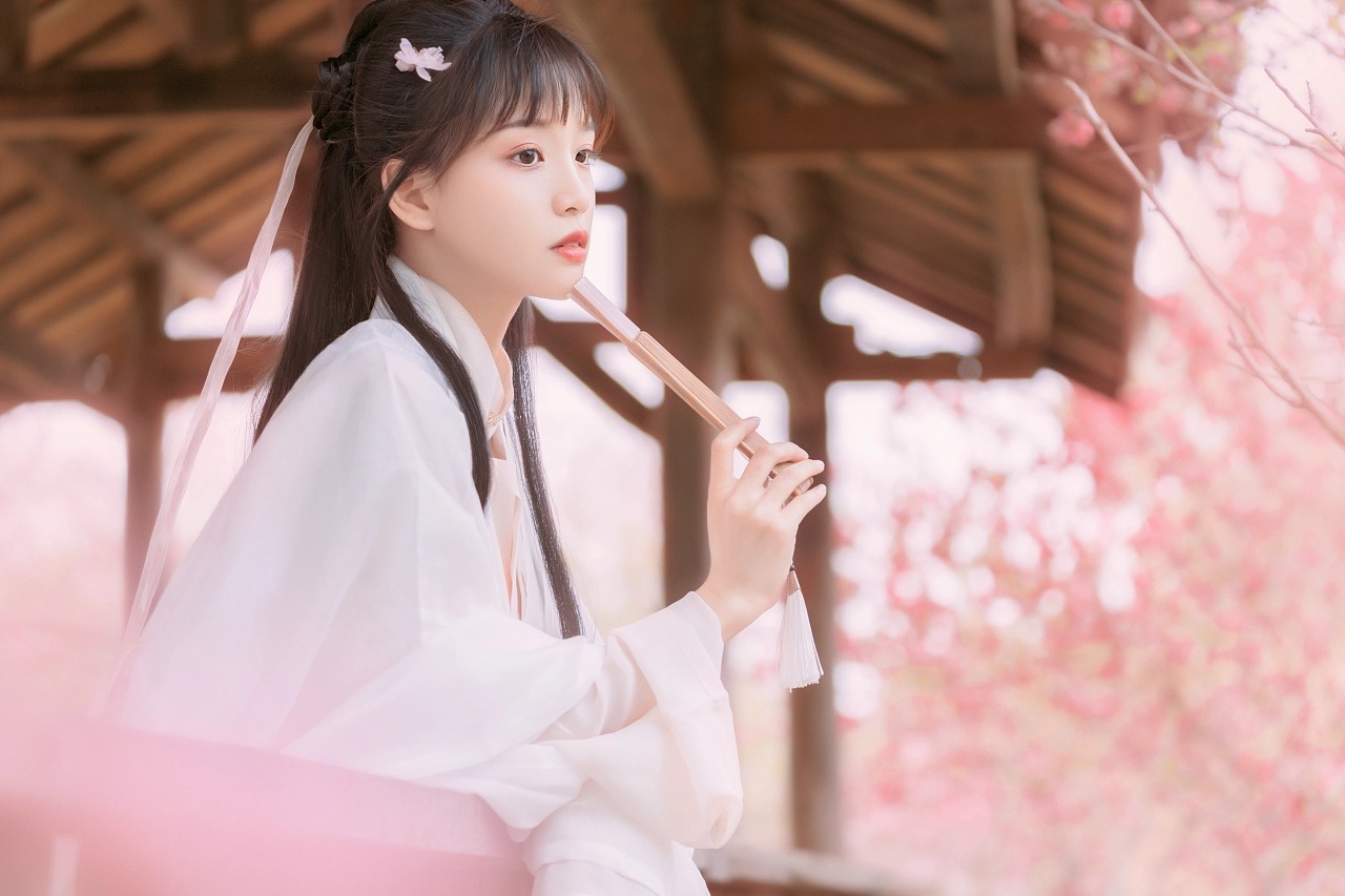 图片[20]-桃红复含宿雨，柳绿更带朝烟。-忙忙软件库