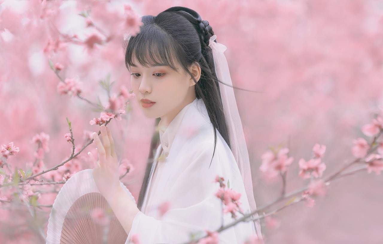 图片[21]-桃红复含宿雨，柳绿更带朝烟。-忙忙软件库