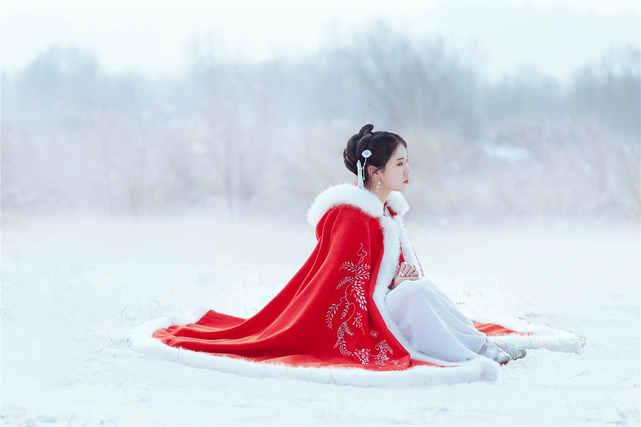 图片[5]-朔风吹散三更雪，倩魂犹恋桃花月。-忙忙软件库