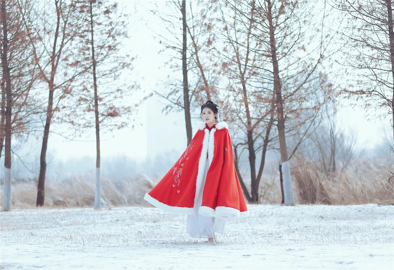 图片[4]-朔风吹散三更雪，倩魂犹恋桃花月。-忙忙软件库