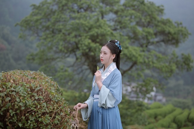 图片[2]-唯有山茶偏耐久，绿丛又放数枝红。-忙忙软件库