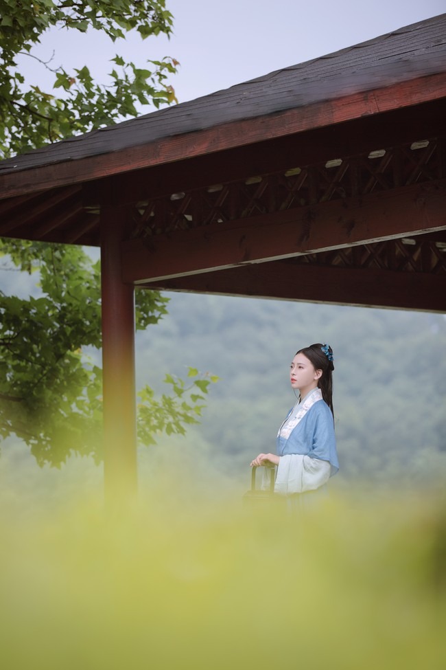 图片[5]-唯有山茶偏耐久，绿丛又放数枝红。-忙忙软件库