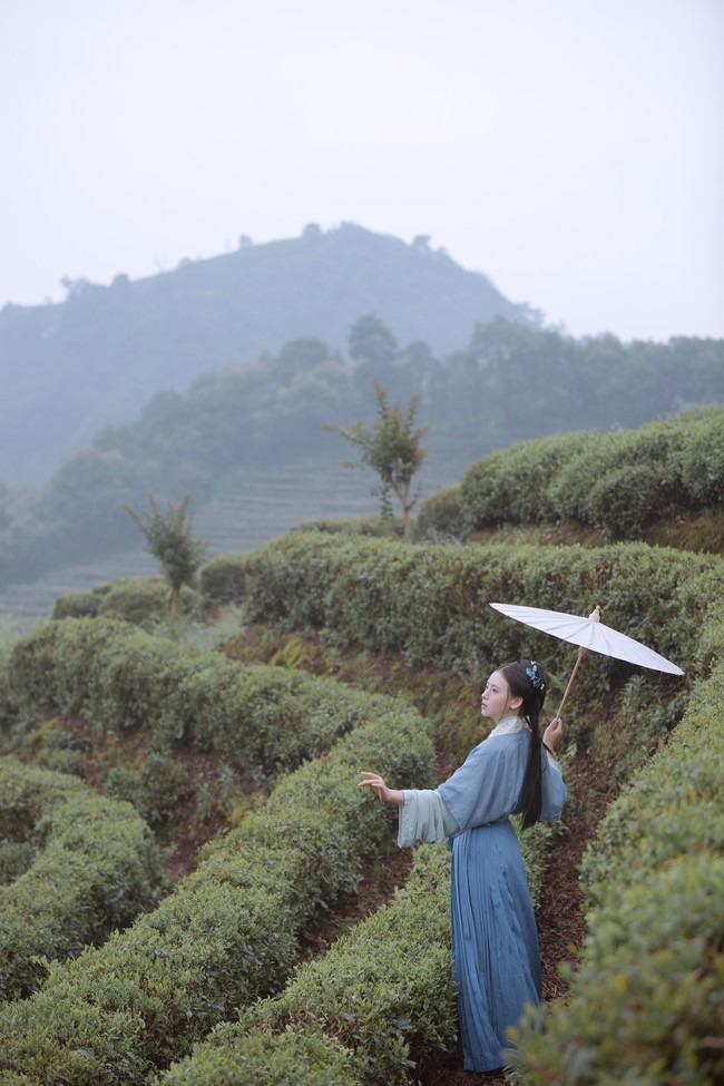图片[4]-唯有山茶偏耐久，绿丛又放数枝红。-忙忙软件库