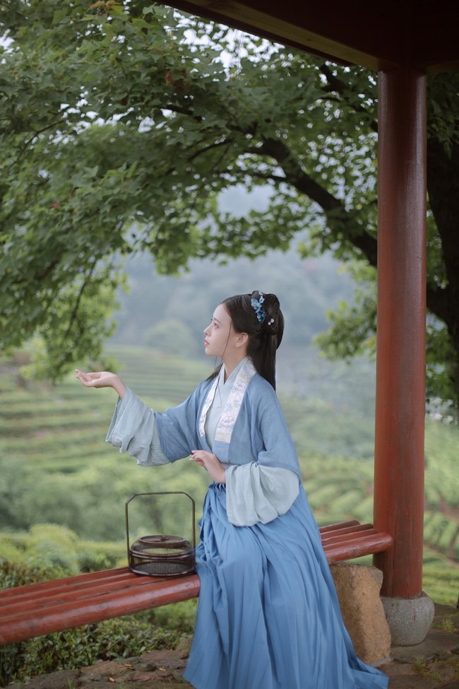 图片[6]-唯有山茶偏耐久，绿丛又放数枝红。-忙忙软件库