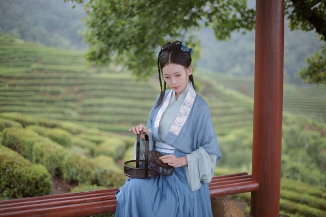 图片[11]-唯有山茶偏耐久，绿丛又放数枝红。-忙忙软件库