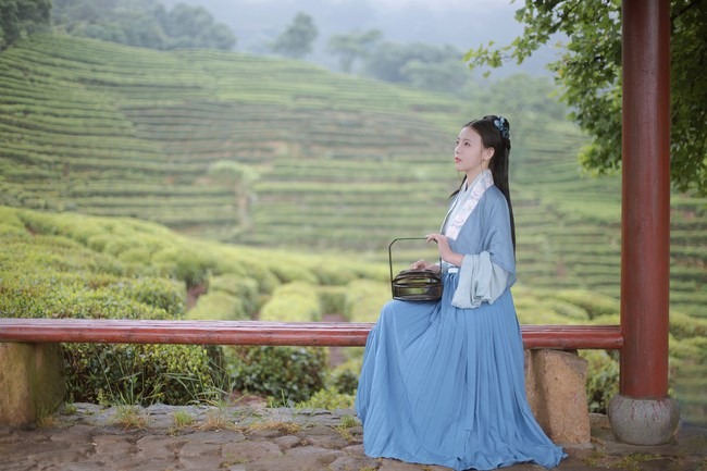 图片[10]-唯有山茶偏耐久，绿丛又放数枝红。-忙忙软件库