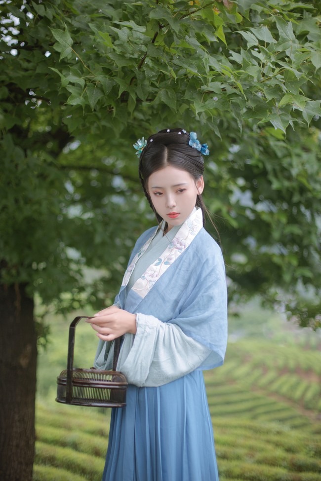 图片[14]-唯有山茶偏耐久，绿丛又放数枝红。-忙忙软件库