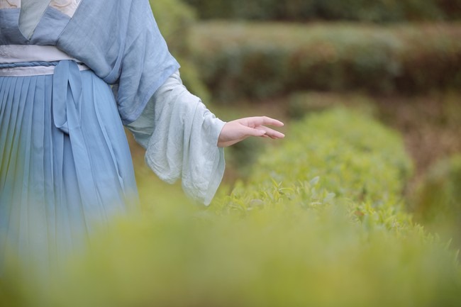 图片[15]-唯有山茶偏耐久，绿丛又放数枝红。-忙忙软件库